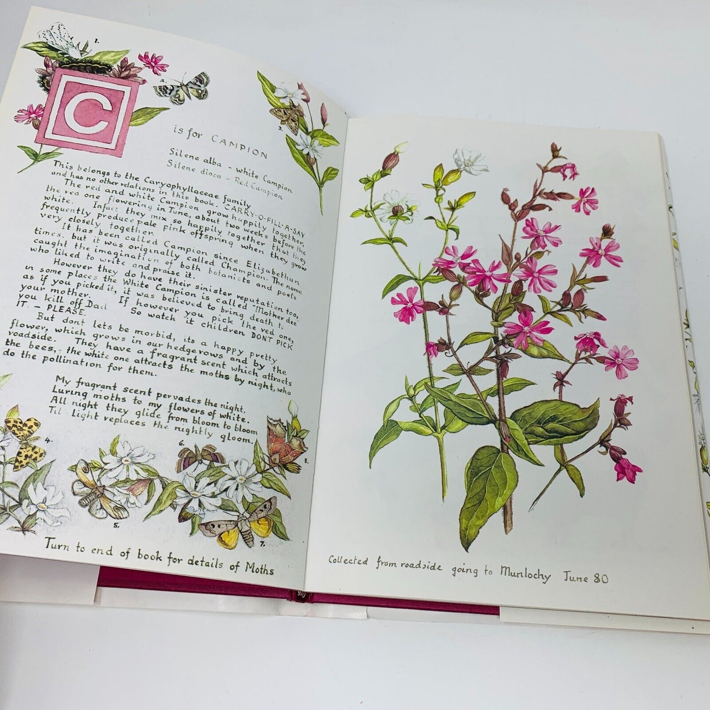 1984 A Wild Flower Alphabet Morrow Hardcover DJ Elizabeth Cameron 1st Print