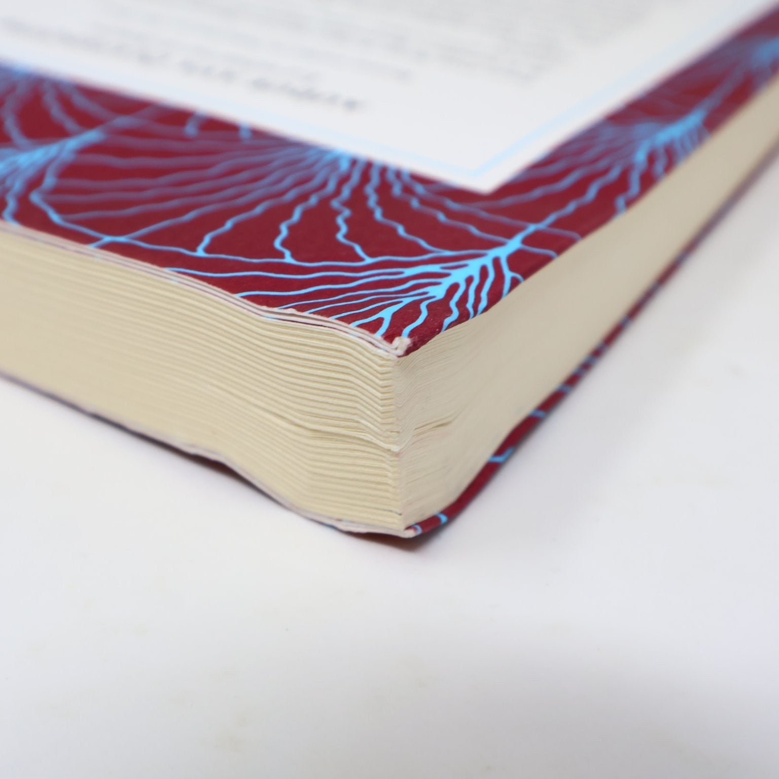 La vérité sur la lumière Audur Ava Ólafsdóttir 2021 Français/French Edition