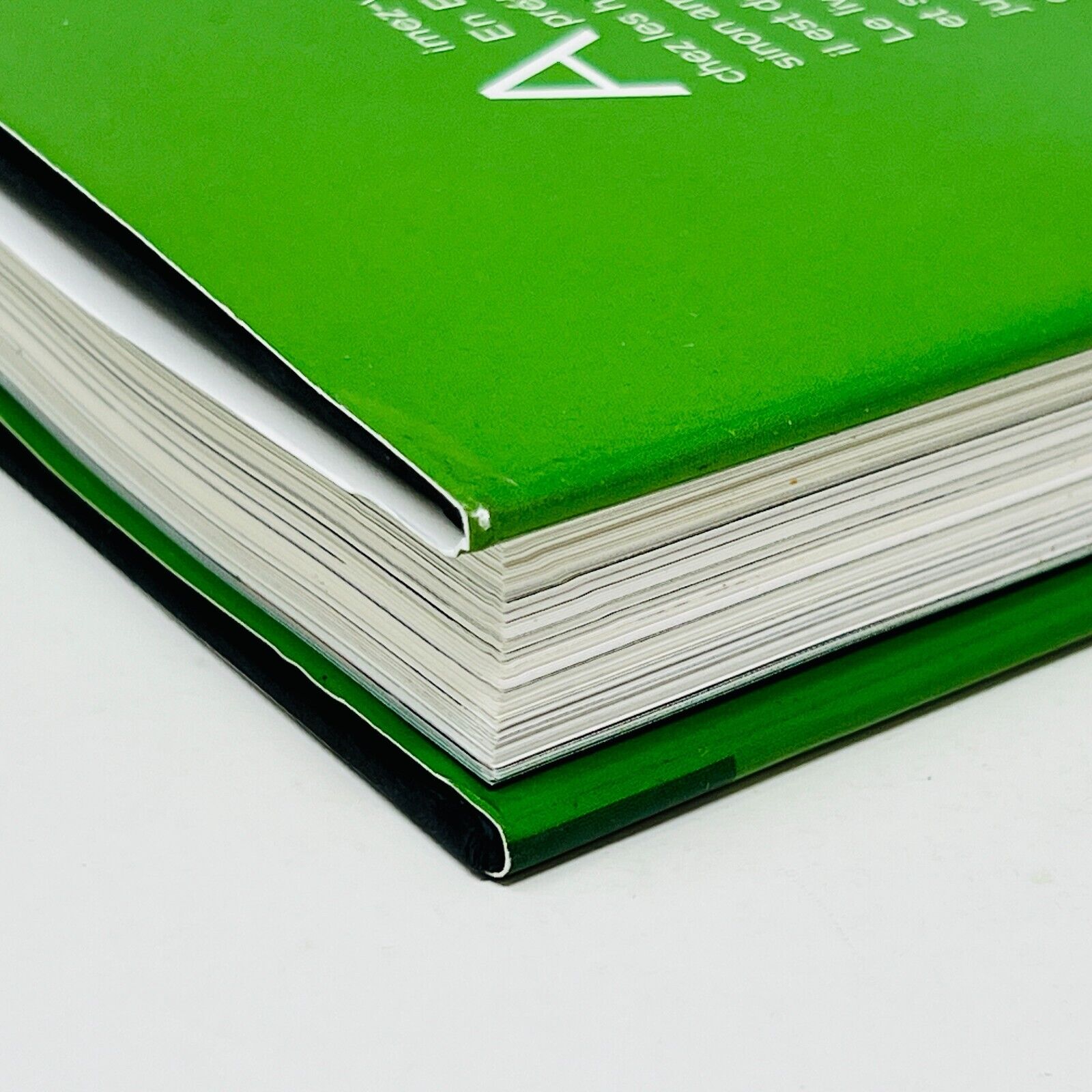 2013 Vert Histoire d'une Couleur de Michel Pastoureau Seuil Français Art Symbole