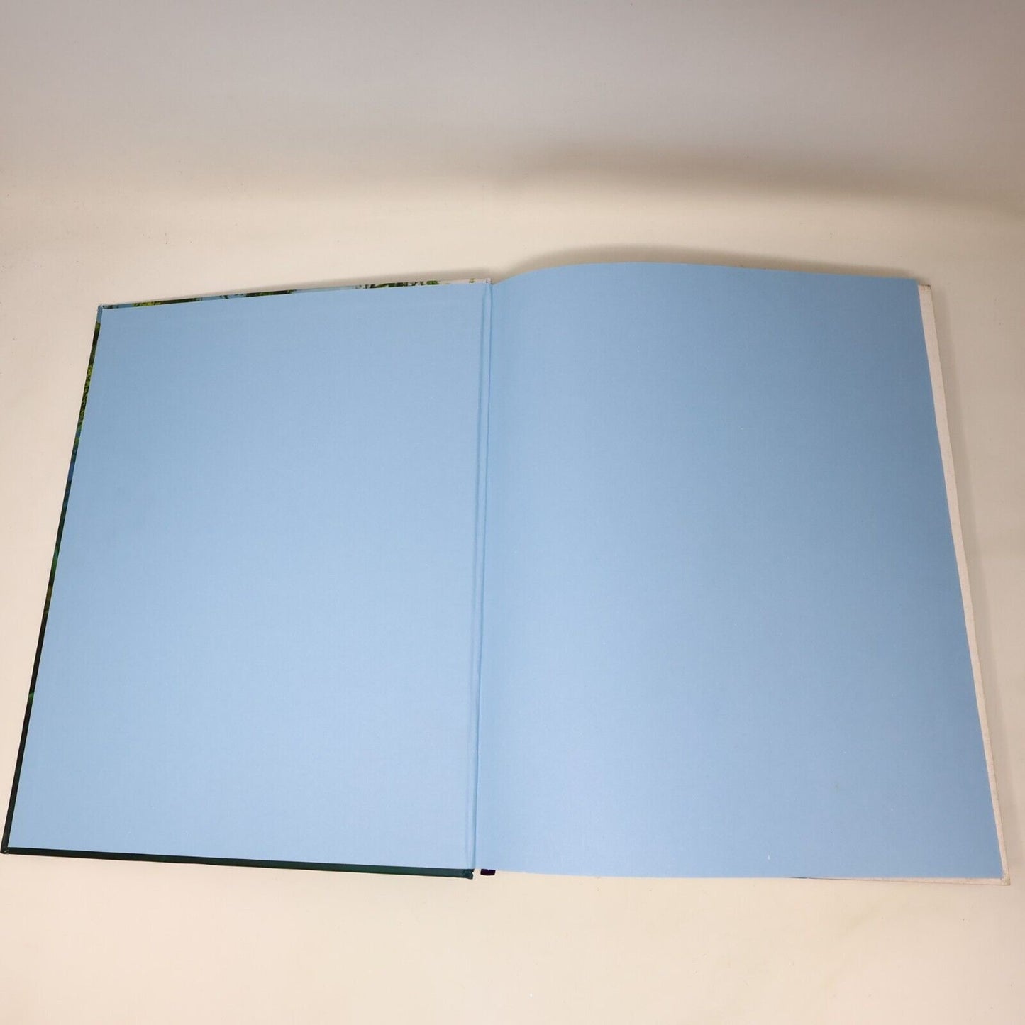 2012 Drawn From Paradise Attenborough/Fuller Birds Art Natural History Harper HC