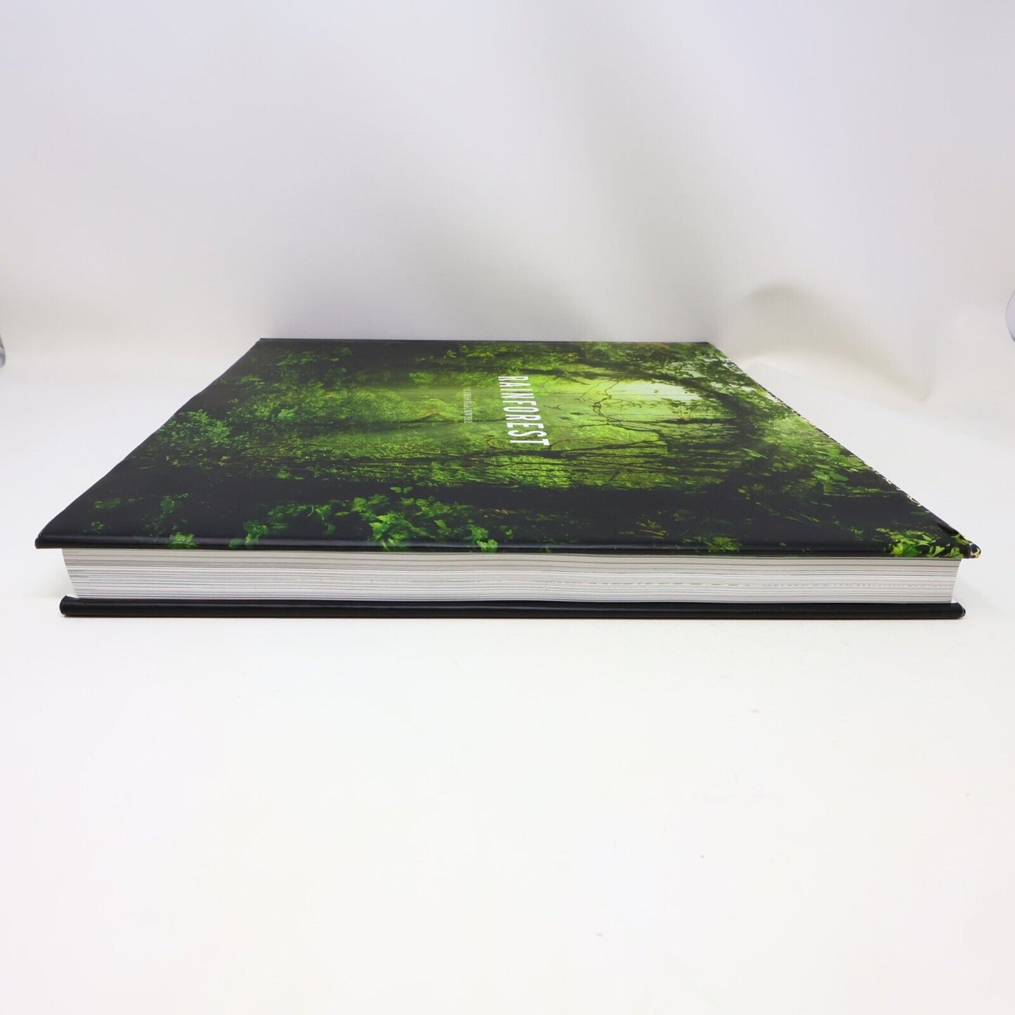 2014 Rainforest by Lewis Blackwell Nature Photos Harry N. Abrams Book Hardcover