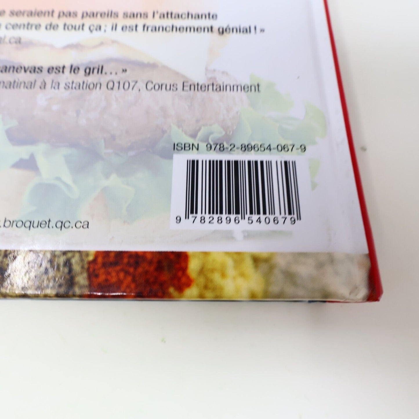 2009 Le Guide du Barbecue Napoléon Ted Reader Gril Cuisine Recettes Broquet HC