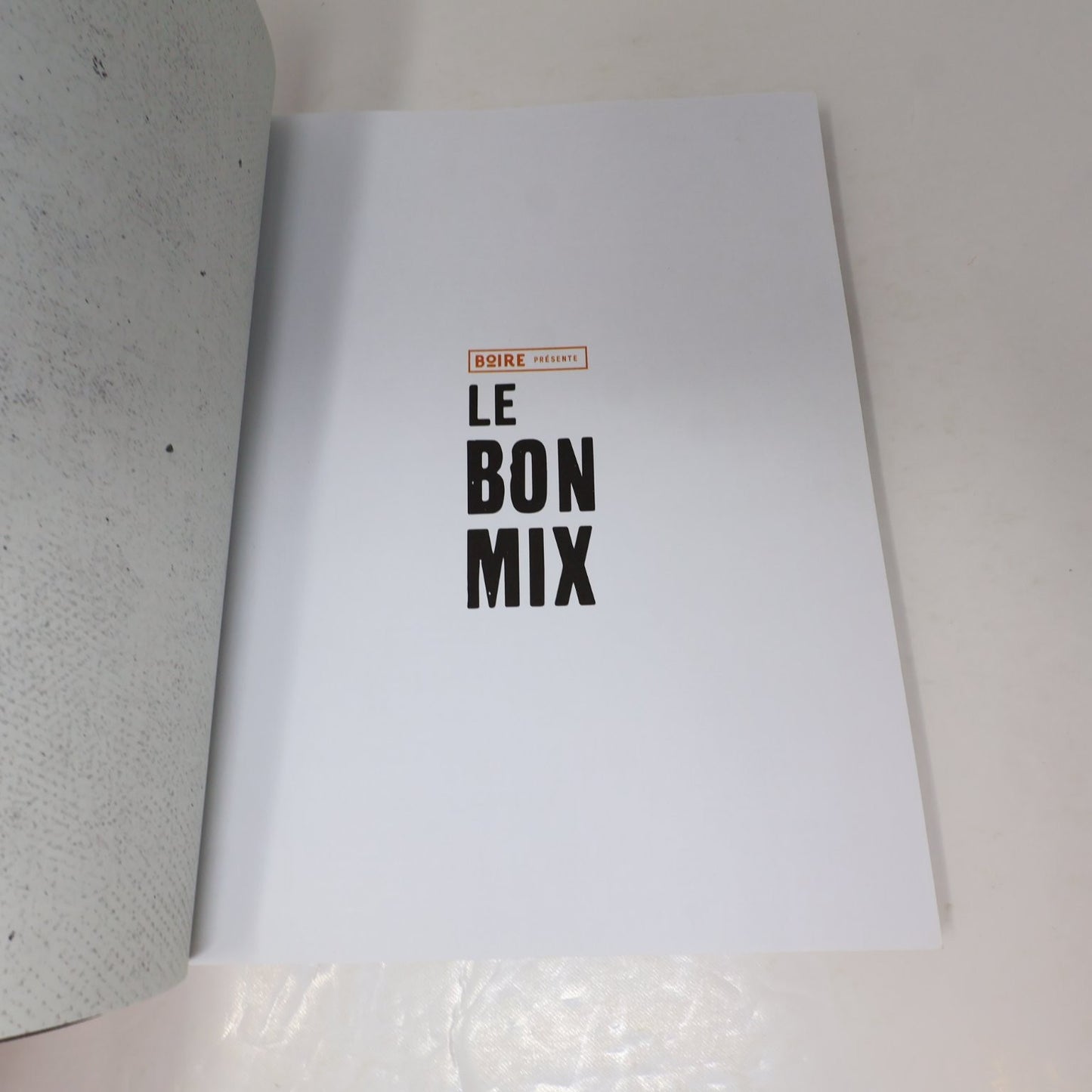 Le Bon Mix Patrice Plante Pierre-Yves Lord 2015 Recettes Cocktail Livre Québec