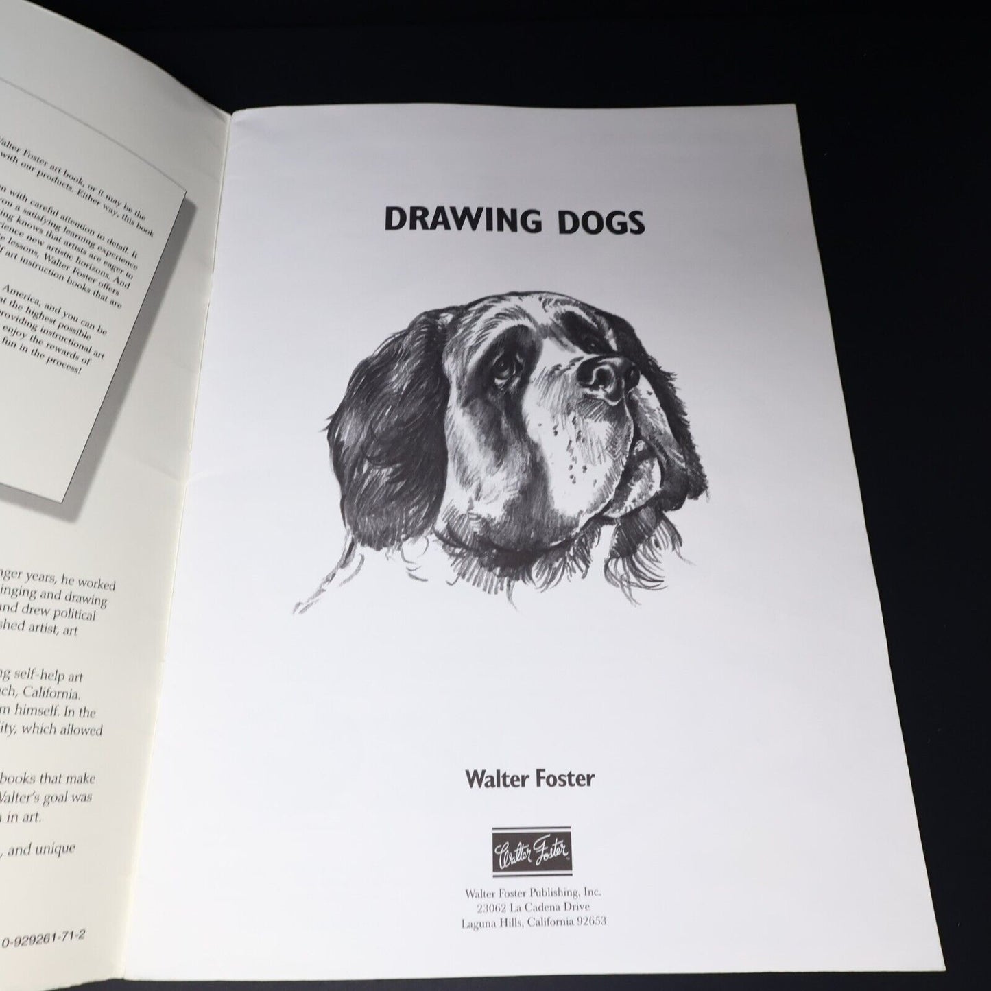 1997 How to Draw and Paint Drawing Dogs Animals Pencil by Walter T. Foster Art