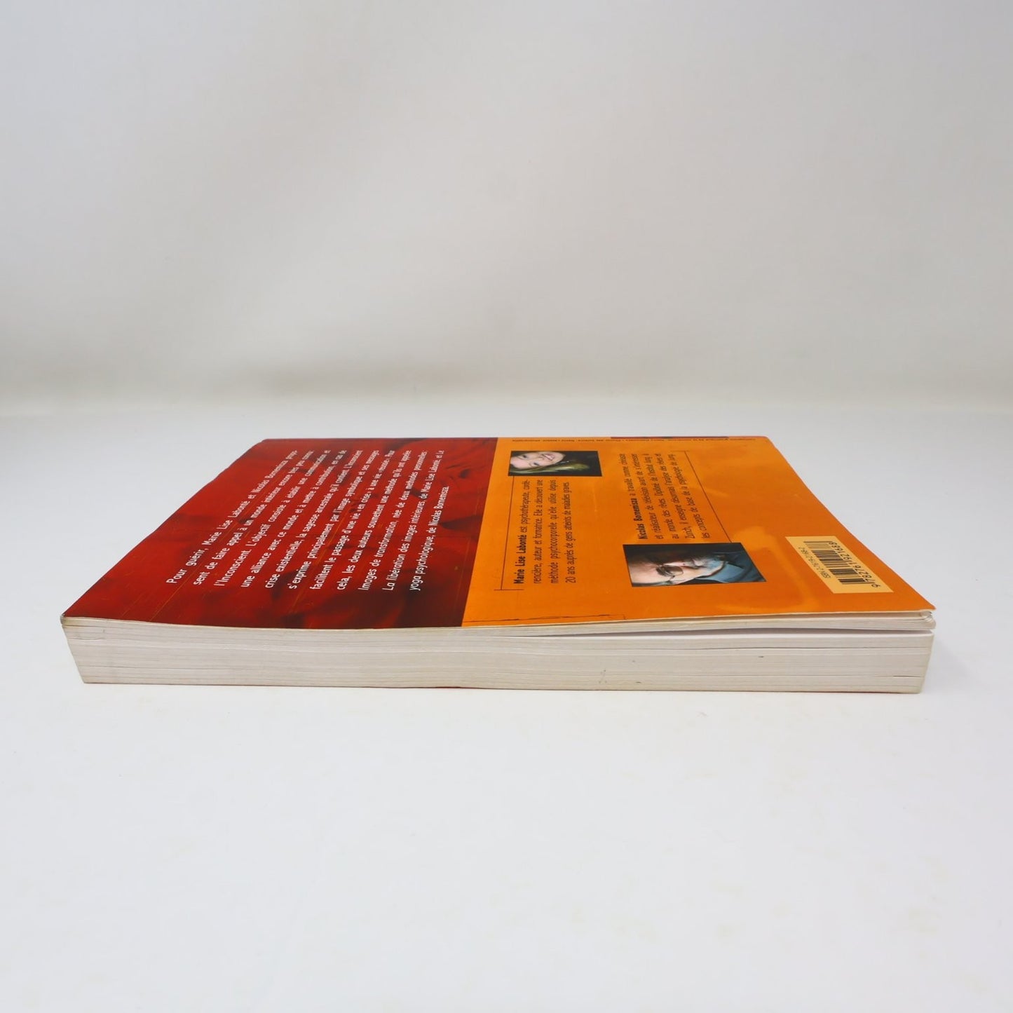 Guérir grâce à nos images intérieures Labonté/Bornemisza 2006 Psychologie PB