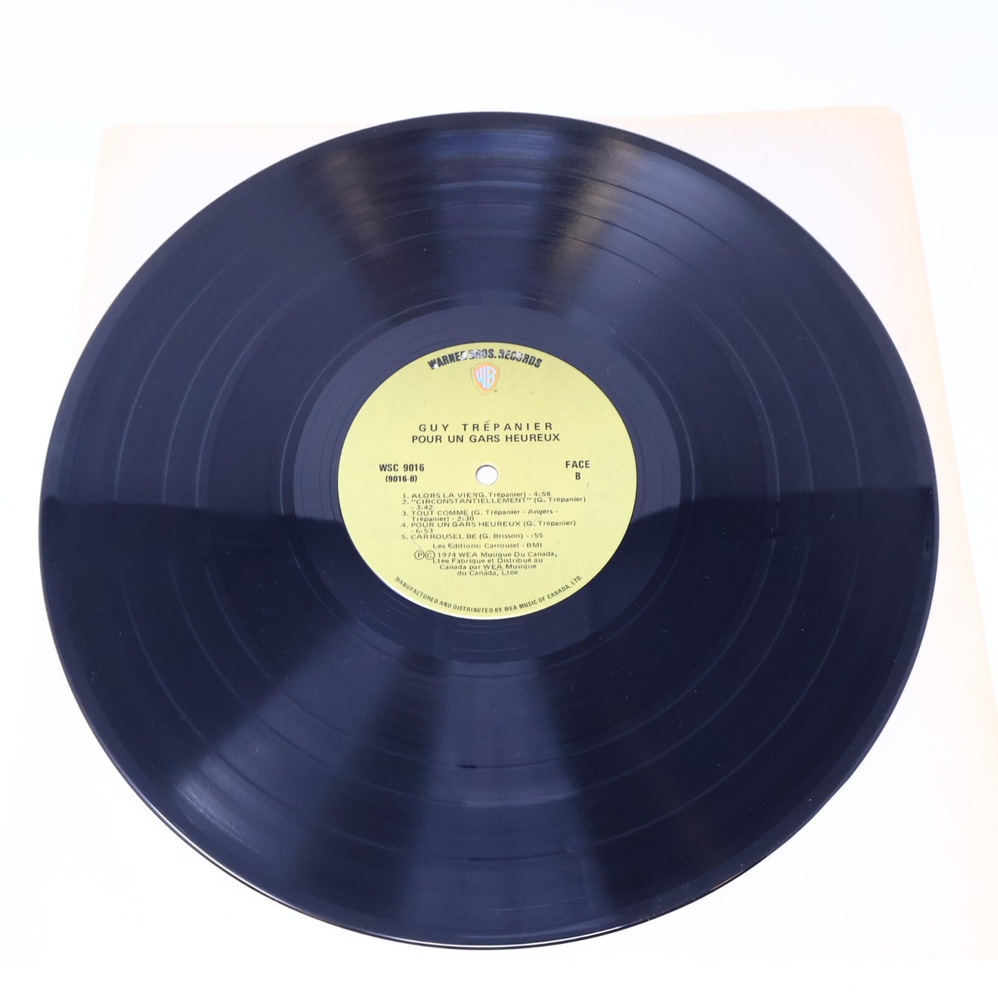 Guy Trépanier Lot 2 Disques LP Fragile L'hiver/Pour Un Gars Heureux Record Vinyl