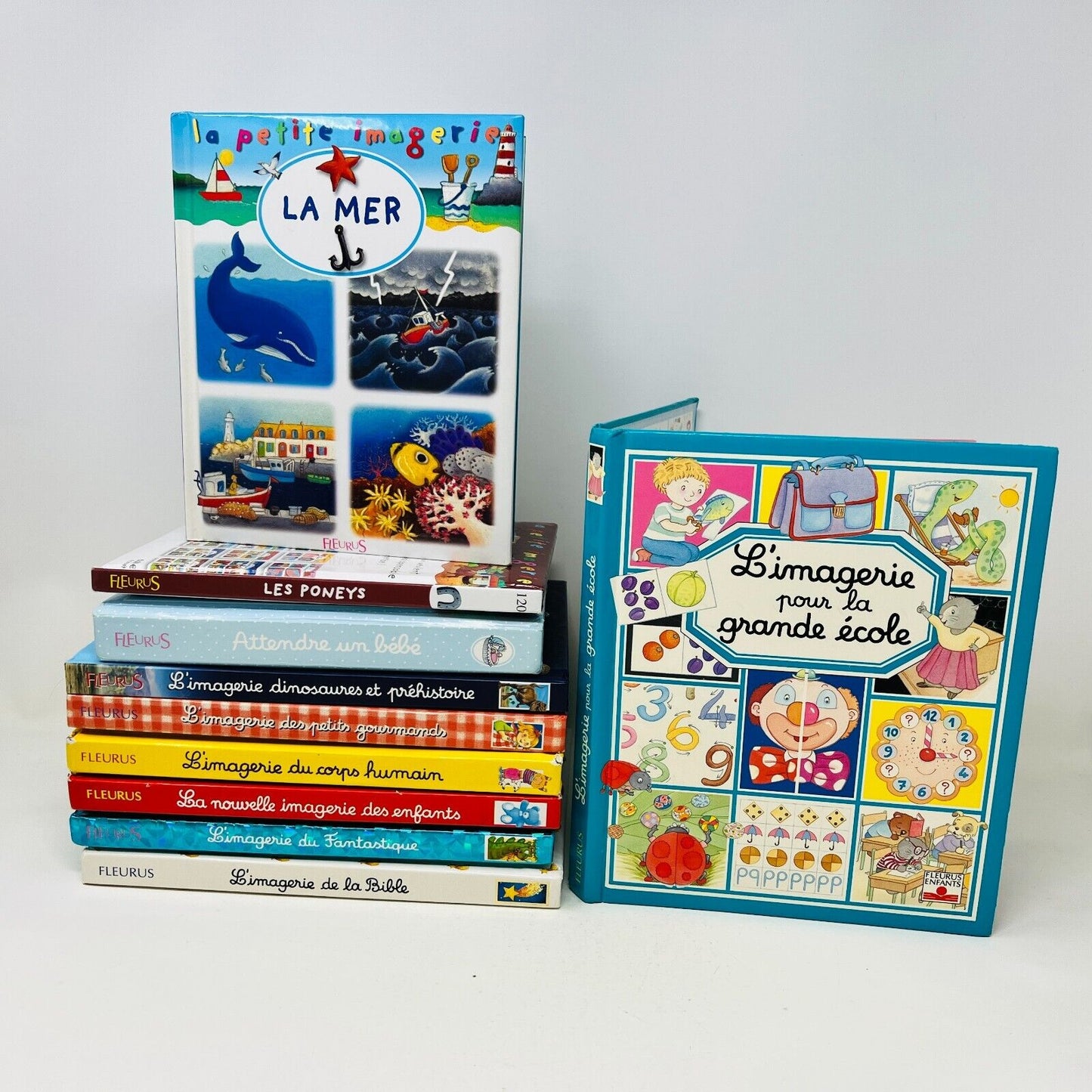 10x L'Imagerie Fleurus Lot Livres Enfants Français École Dinosaures Corps Humain