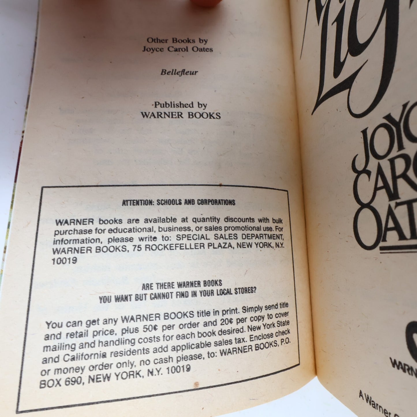 1982 Angel of Light Joyce Carol Oates Warner Historical Fiction Thriller Book PB