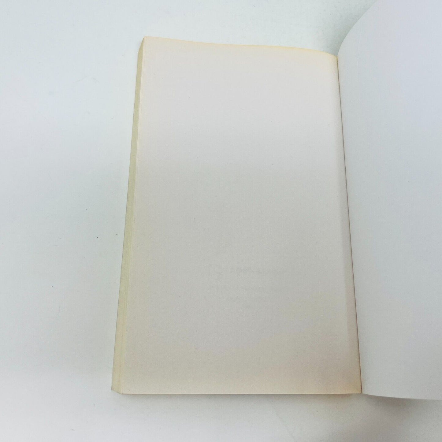 2004 Le Syndrome de l'Incube de Mireille Thibault Français Livre Louise Courteau