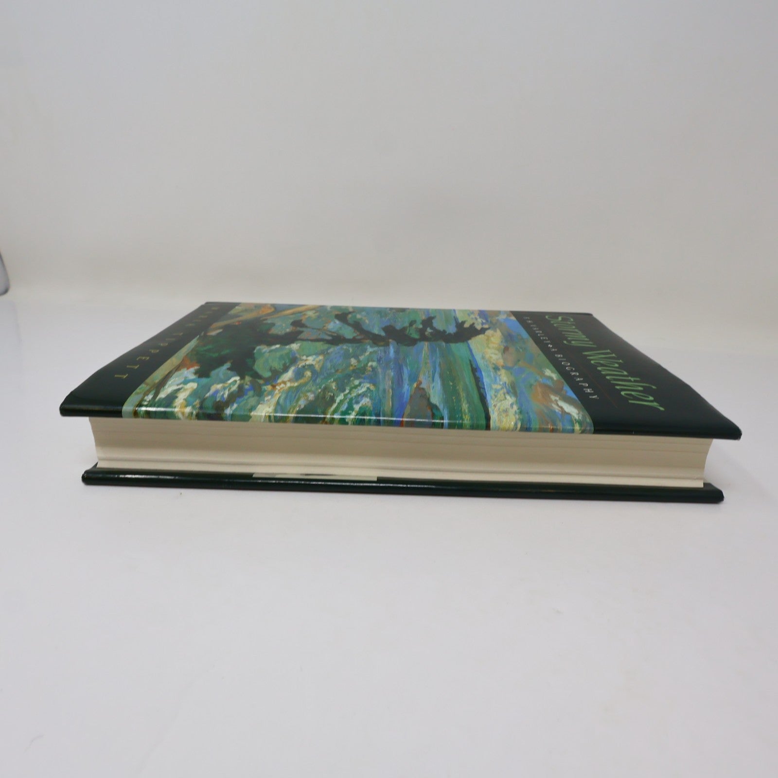 Stormy Weather F.H. Varley a Biography Maria Tippett Mcclelland & Stewart 1998