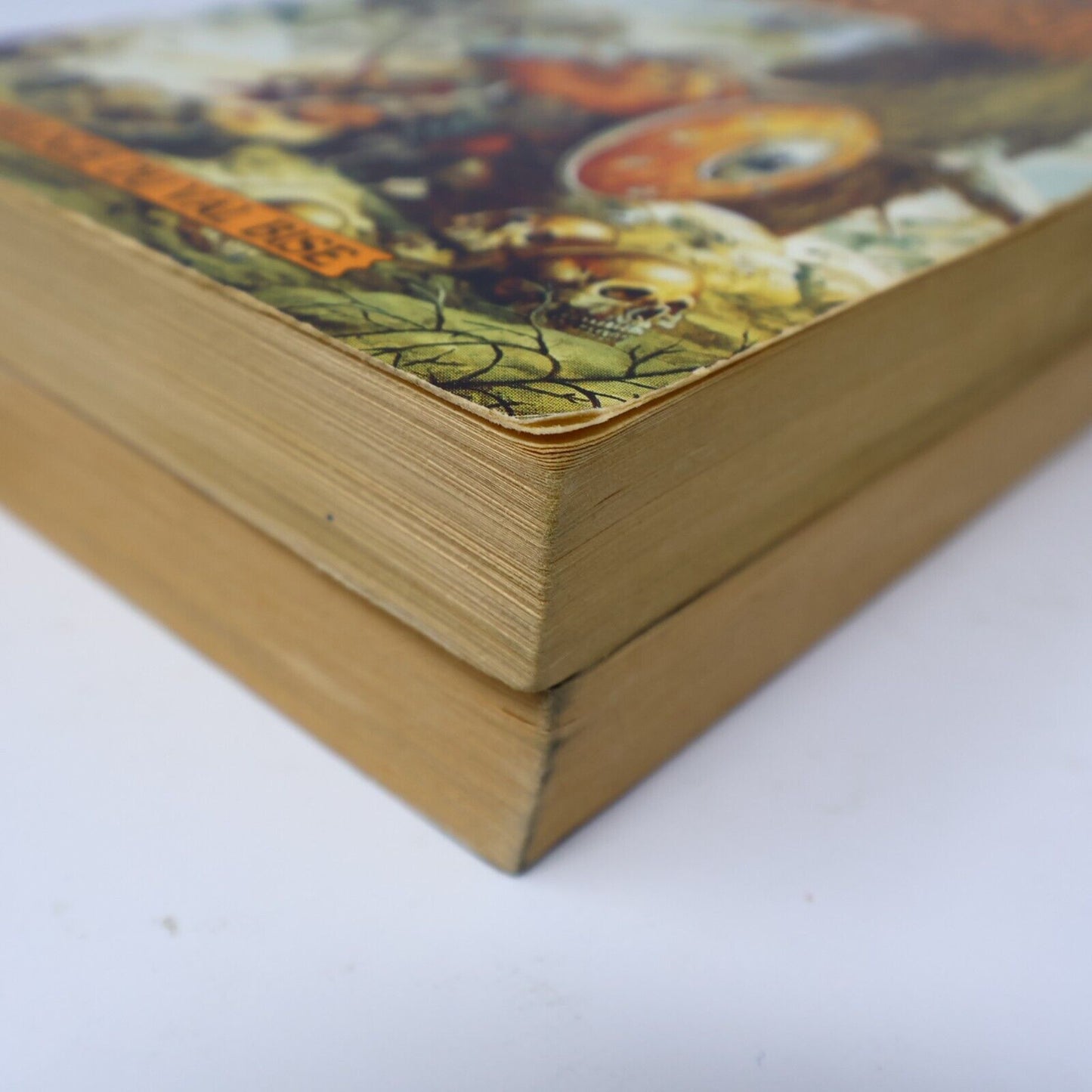 Lot 2 Livres Royaumes Oubliés #16-17 La Trilogie du Val Bise Fantasy Français PB