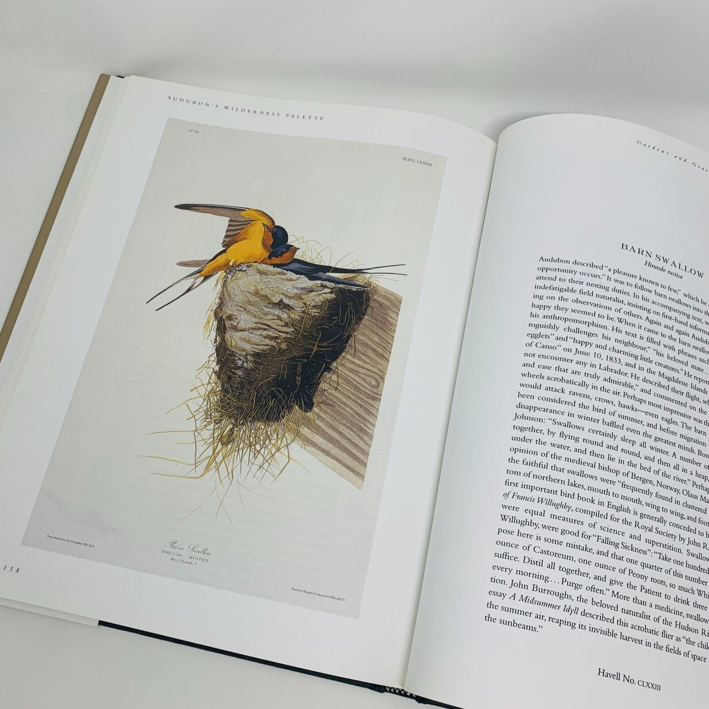 1999 Signed Audubon's Wilderness Palette The Birds of Canada by David Lank Book