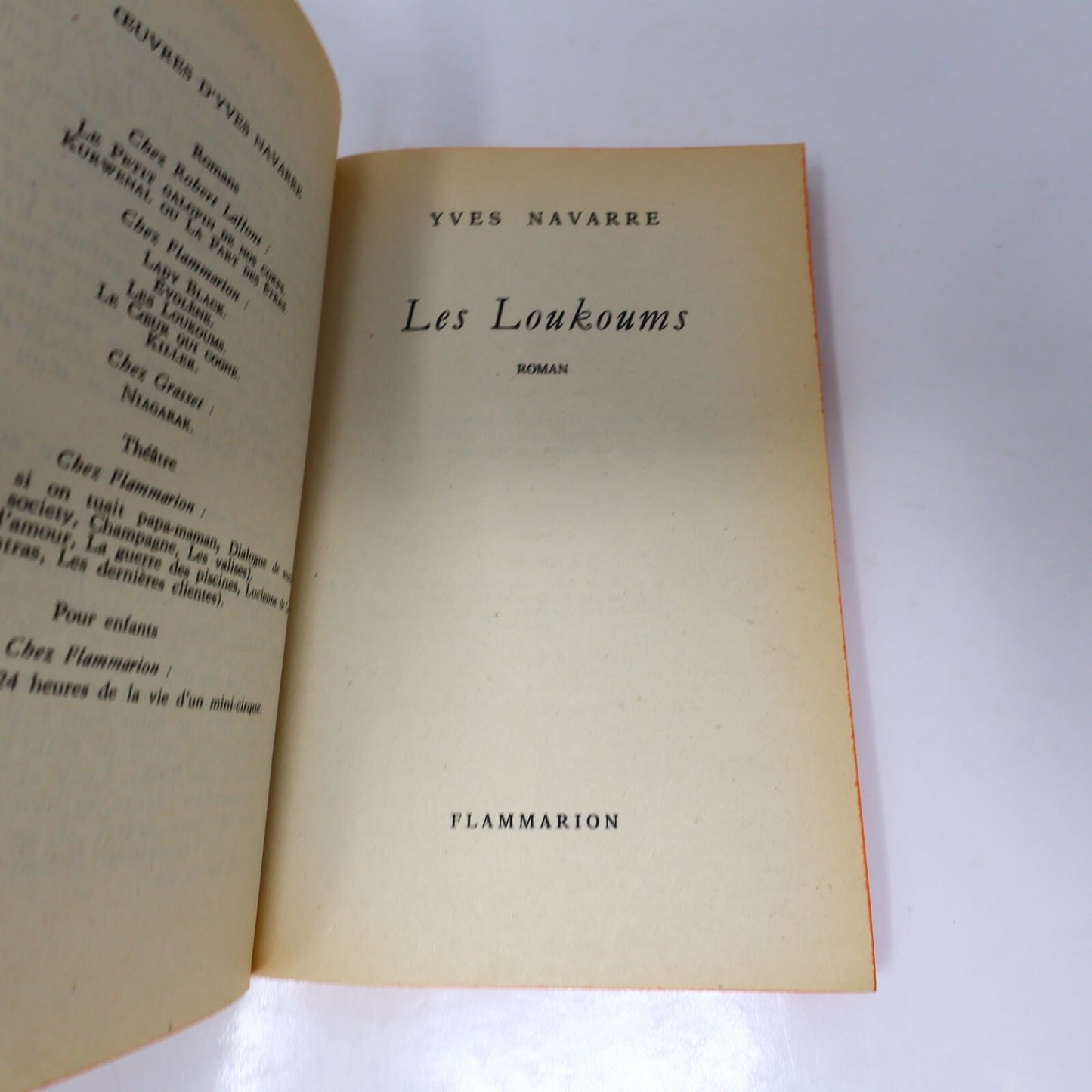 Yves Navarre Lot 2 Livres Poche Le Jardin d'Acclimatation/Loukoums Roman France