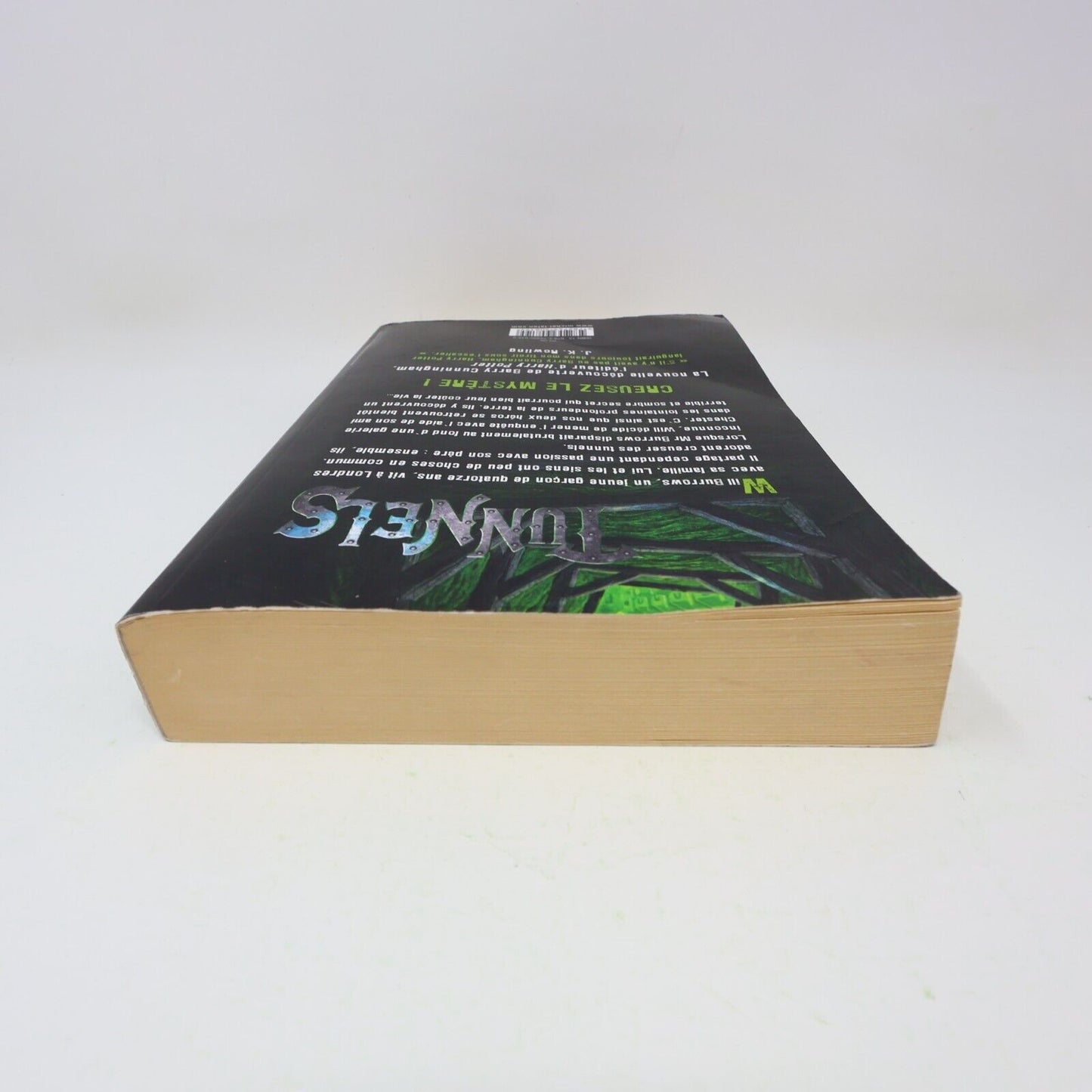 Tunnels #1 Roderick Gordon Brian Williams 2008 Michel Lafon Français Paperback