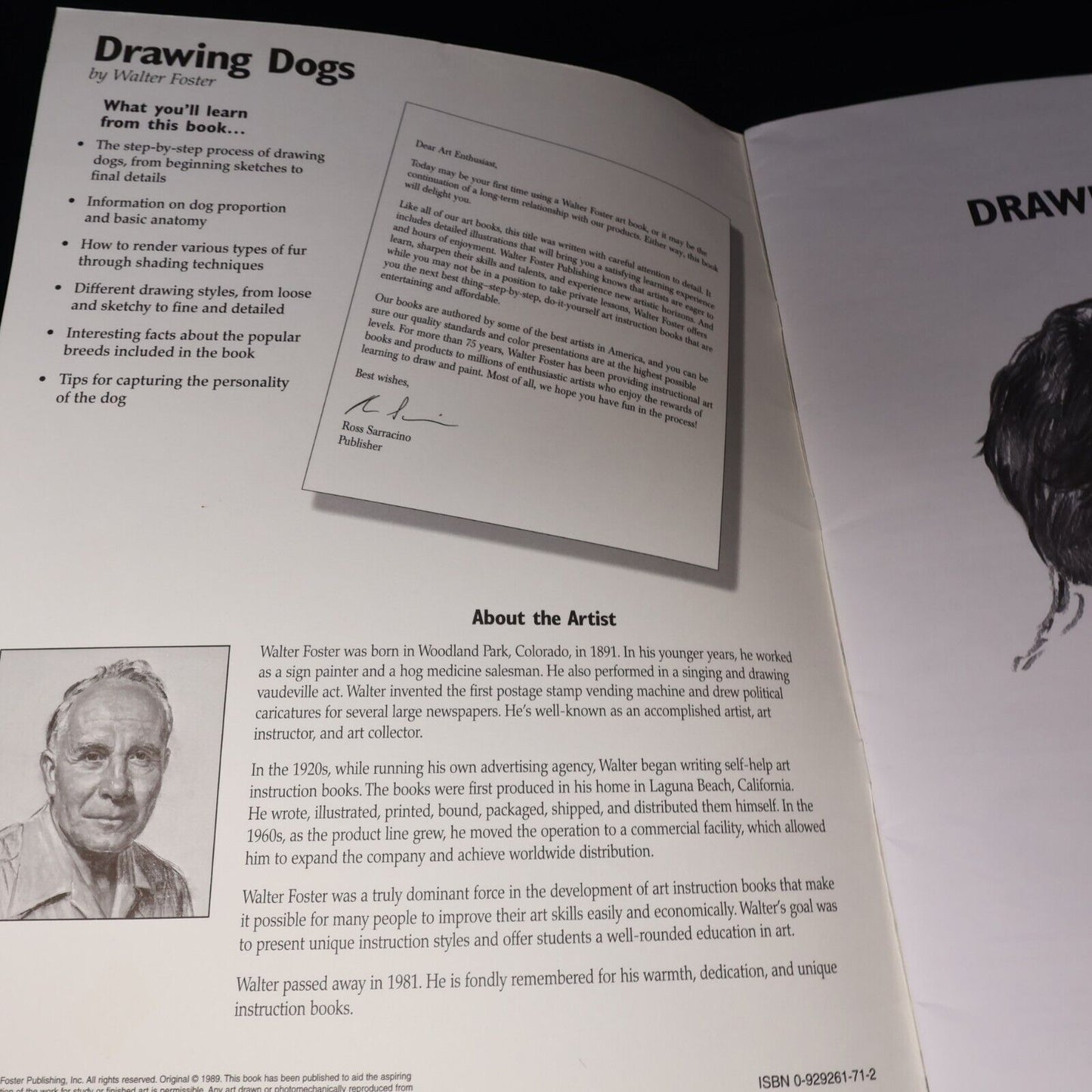 1997 How to Draw and Paint Drawing Dogs Animals Pencil by Walter T. Foster Art
