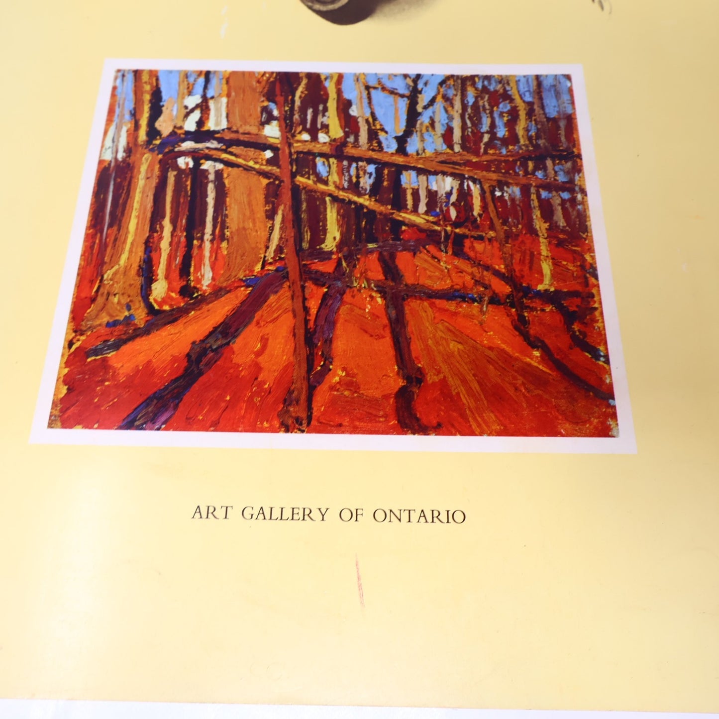 L'Art de Tom Thomson Art Gallery of Toronto 1972 Catalogue d'Exposition Français