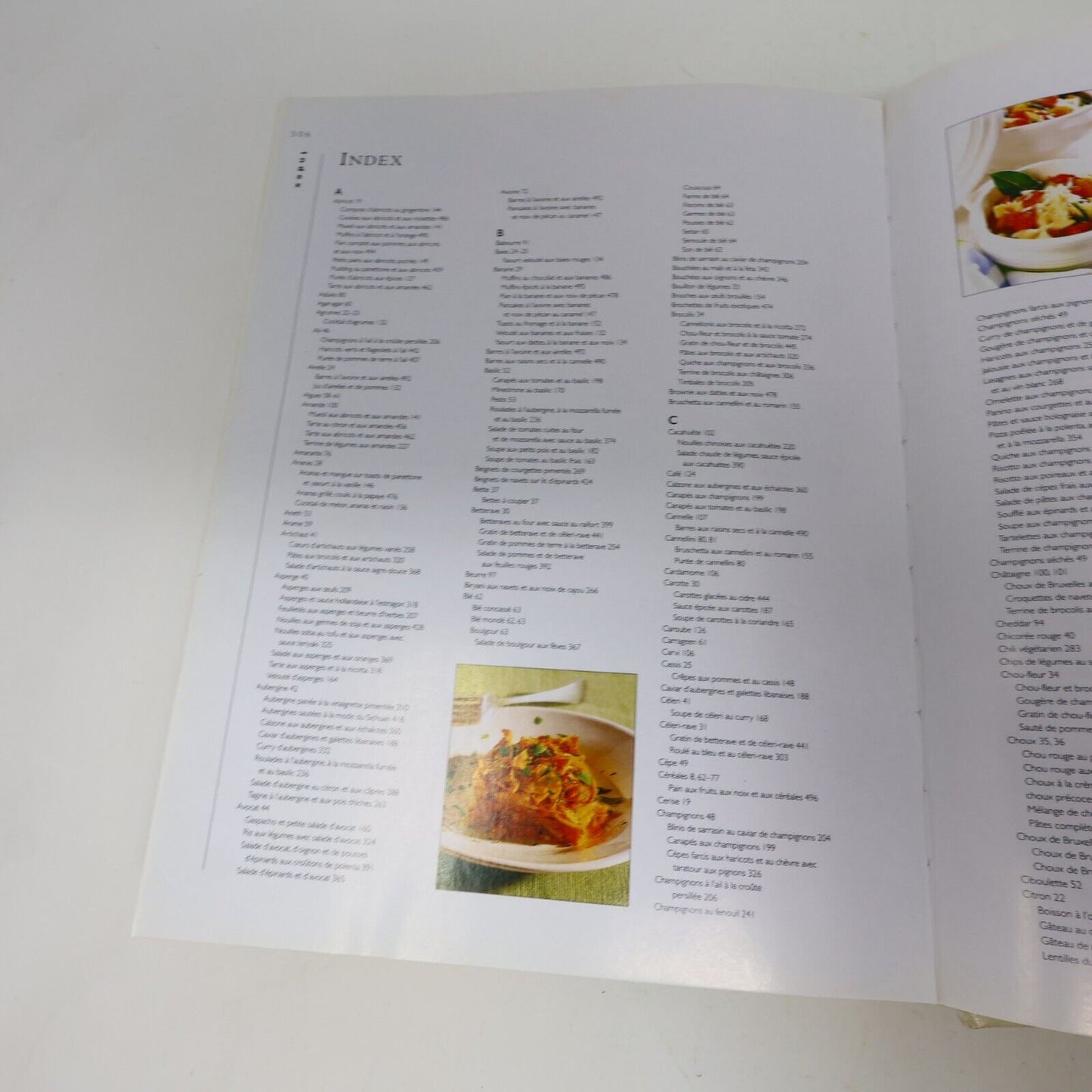 L'Encyclopédie de la Cuisine Végétarienne Nicola Graimes Conseils Pratiques 2004