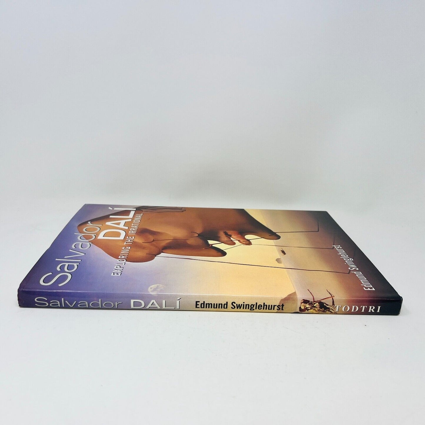 1996 Salvador Dali Exploring the Irrational by Edmund Swinglehurst Art Artist HC