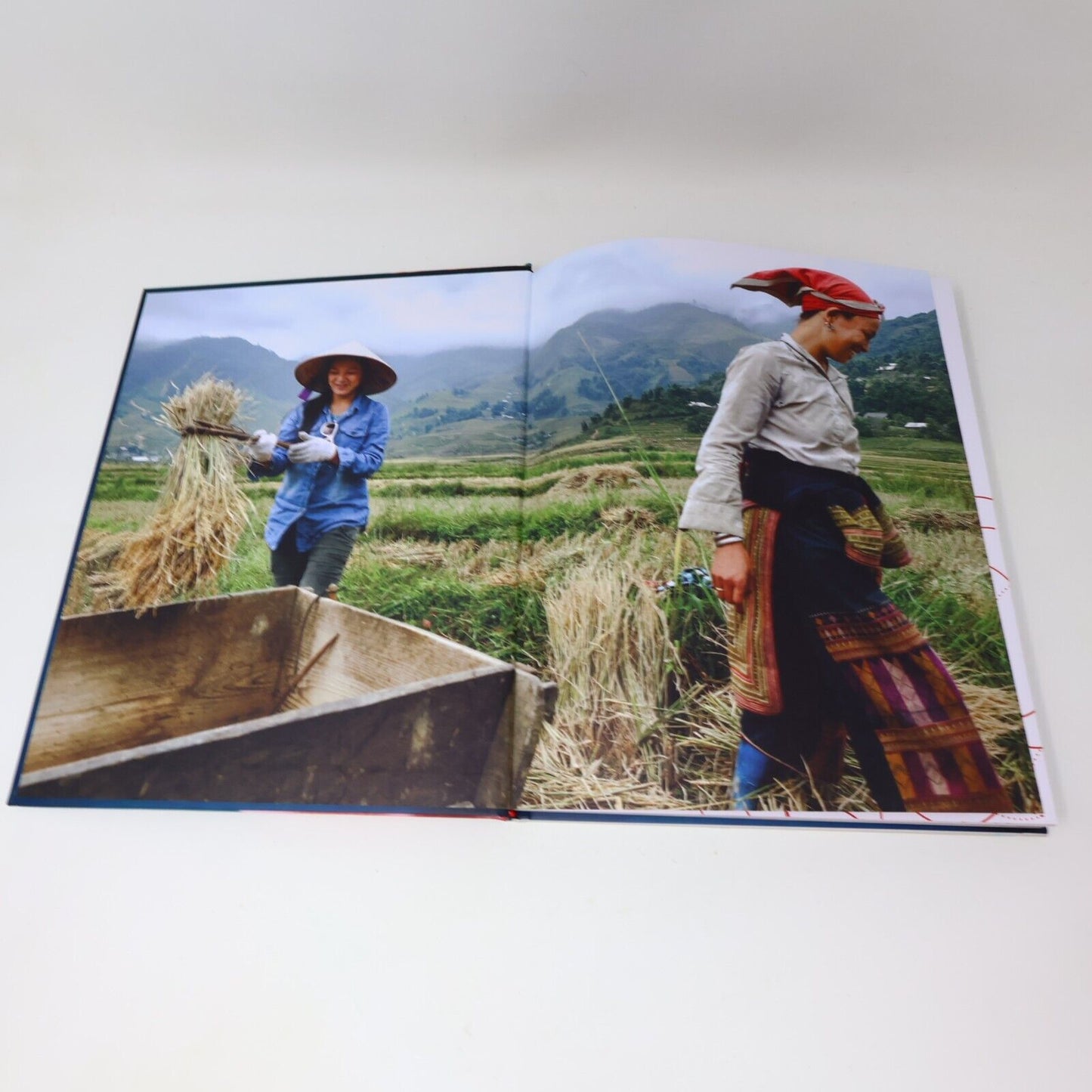 2019 Secrets From My Vietnamese Kitchen Kim Thúy Cookbook Recipes 1st Print HC