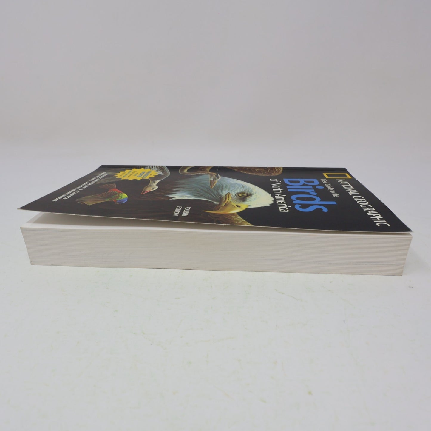 2002 Field Guide to the Birds of North America National Geographic Society Book