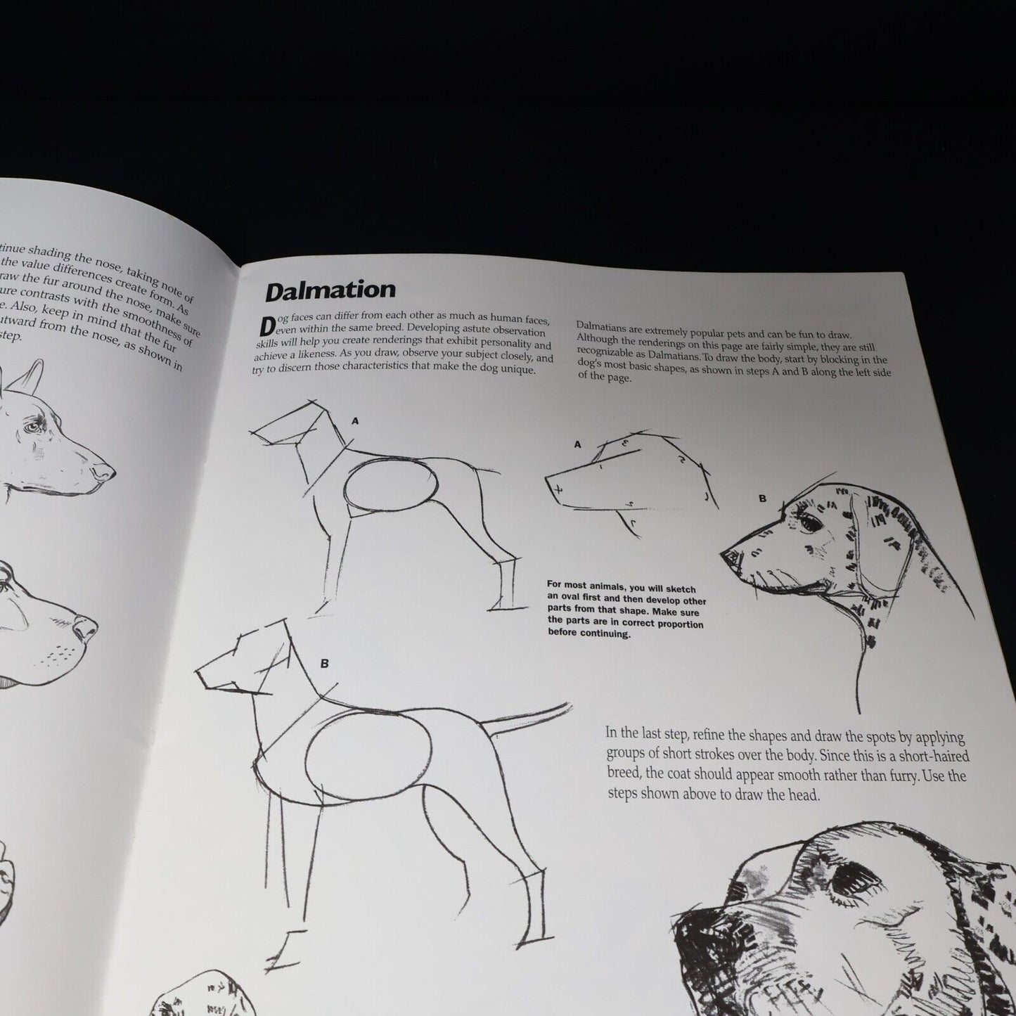 1997 How to Draw and Paint Drawing Dogs Animals Pencil by Walter T. Foster Art