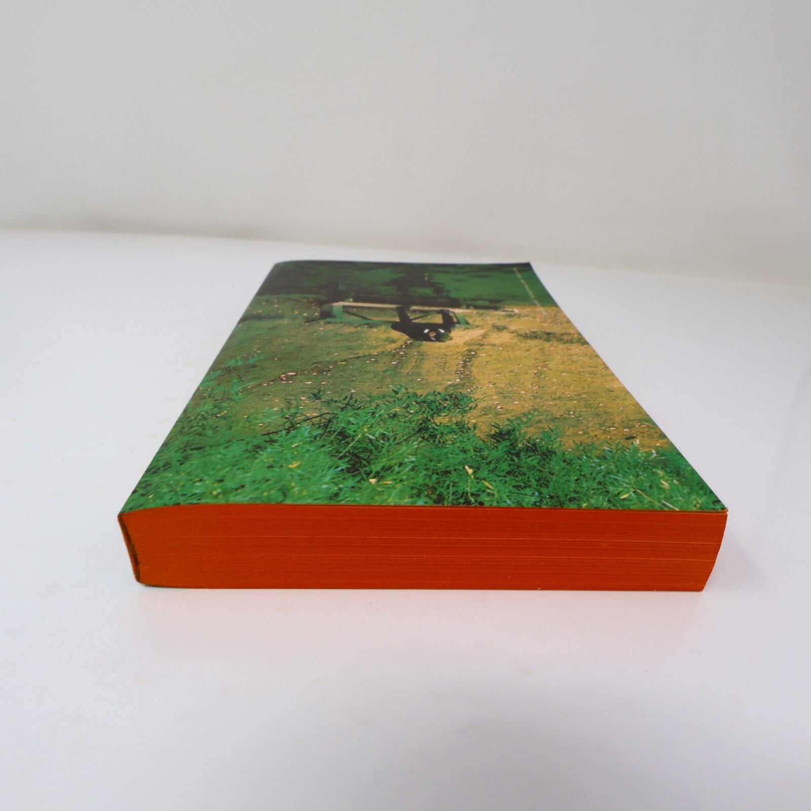 La Faim Knut Hamsun Poche 1972 Littérature Français Paperback Livre 70s French