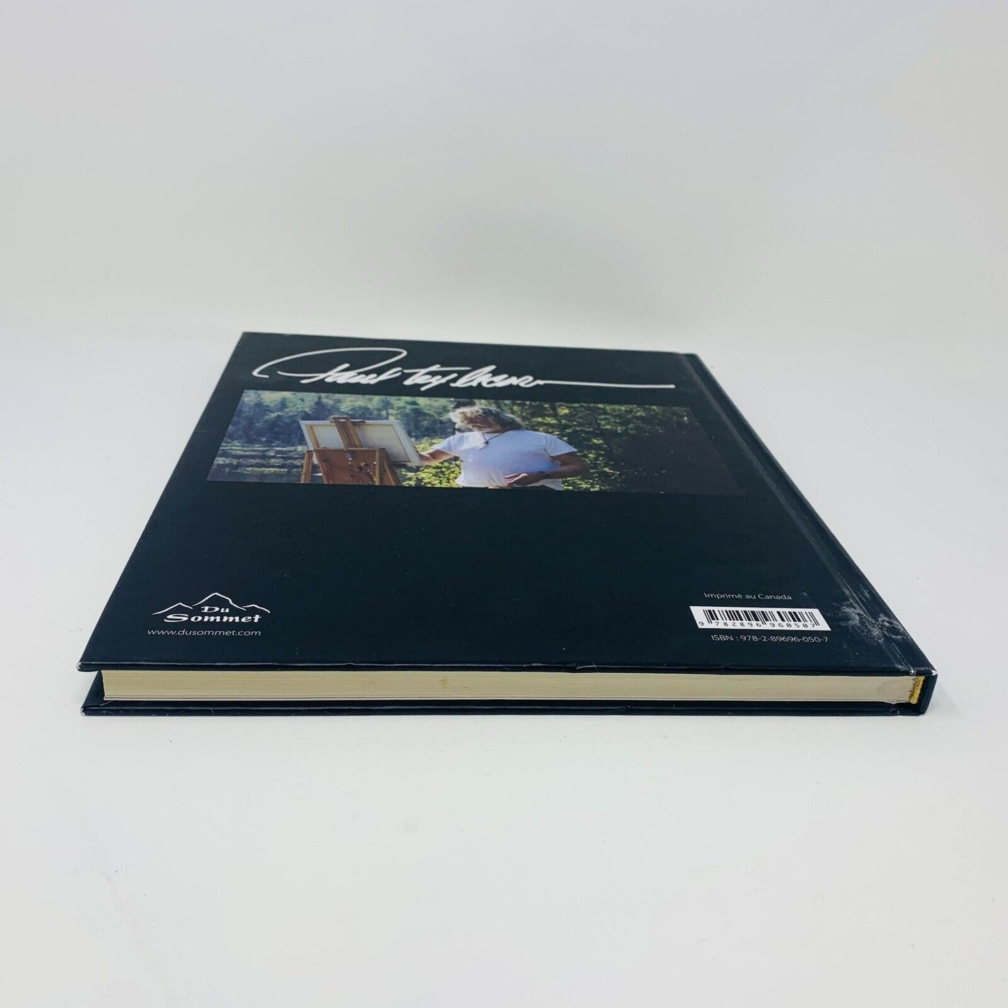 2013 Paul Tex Lecor Mon Monde Pour Vous Français/Anglais Livre sur Peintures Art