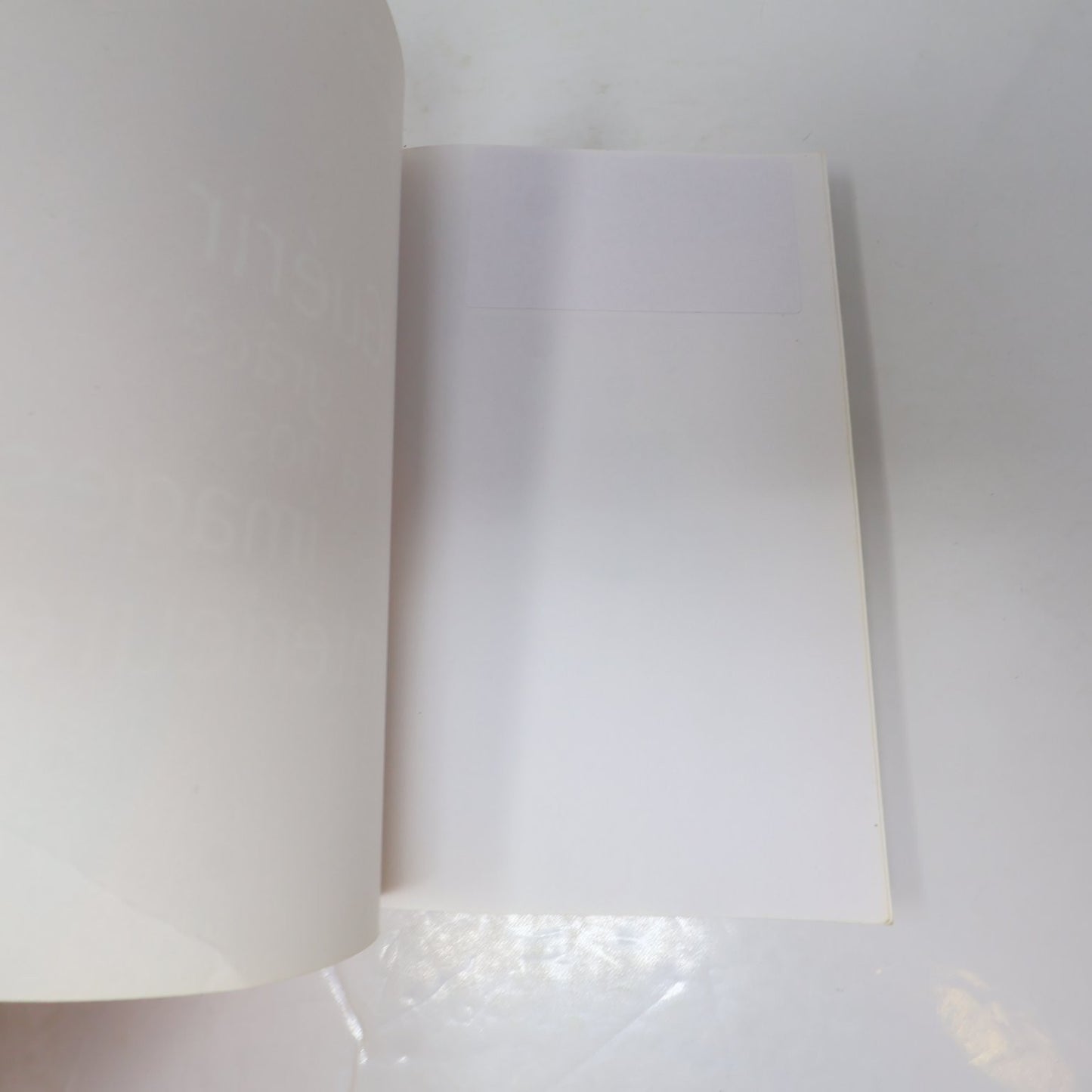Guérir grâce à nos images intérieures Labonté/Bornemisza 2006 Psychologie PB