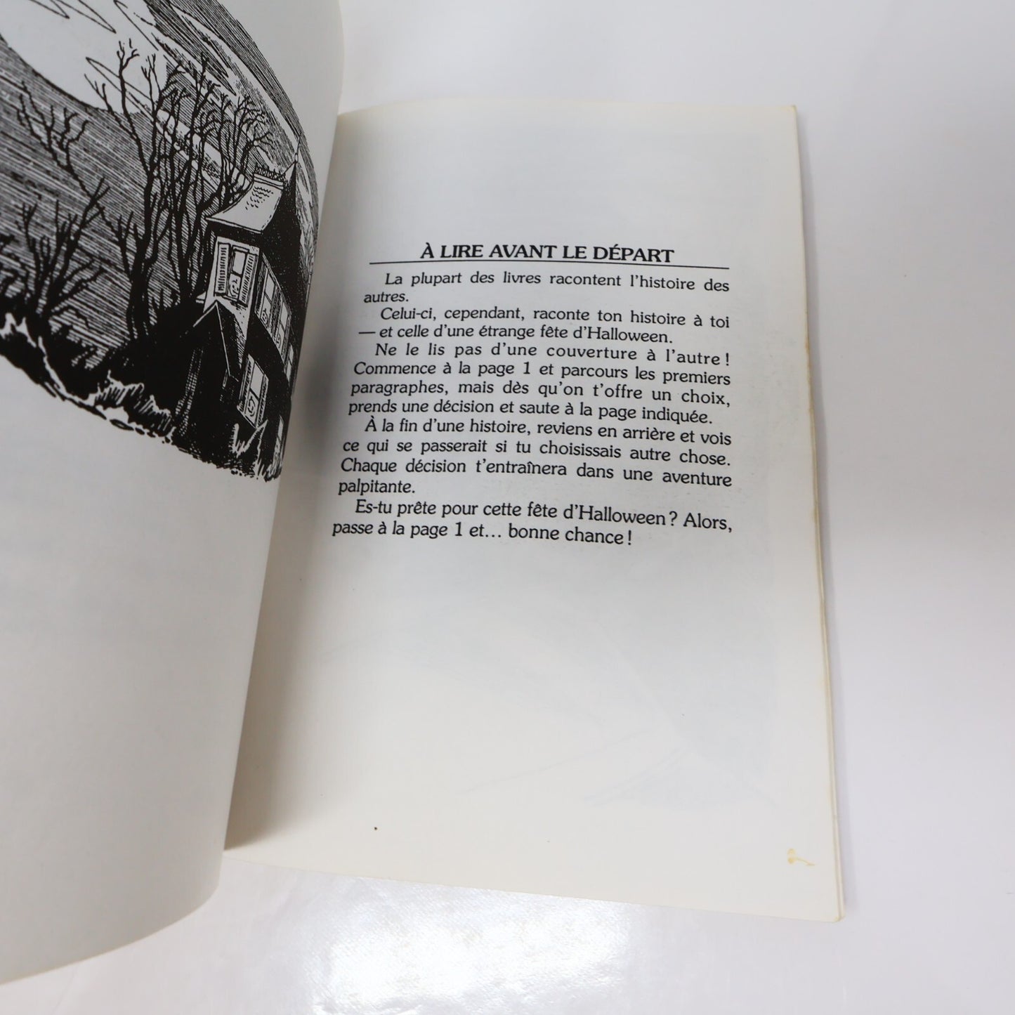 Choisis ta Propre Aventure #24 Une Fête d'Halloween Fantastique Susan Saunders