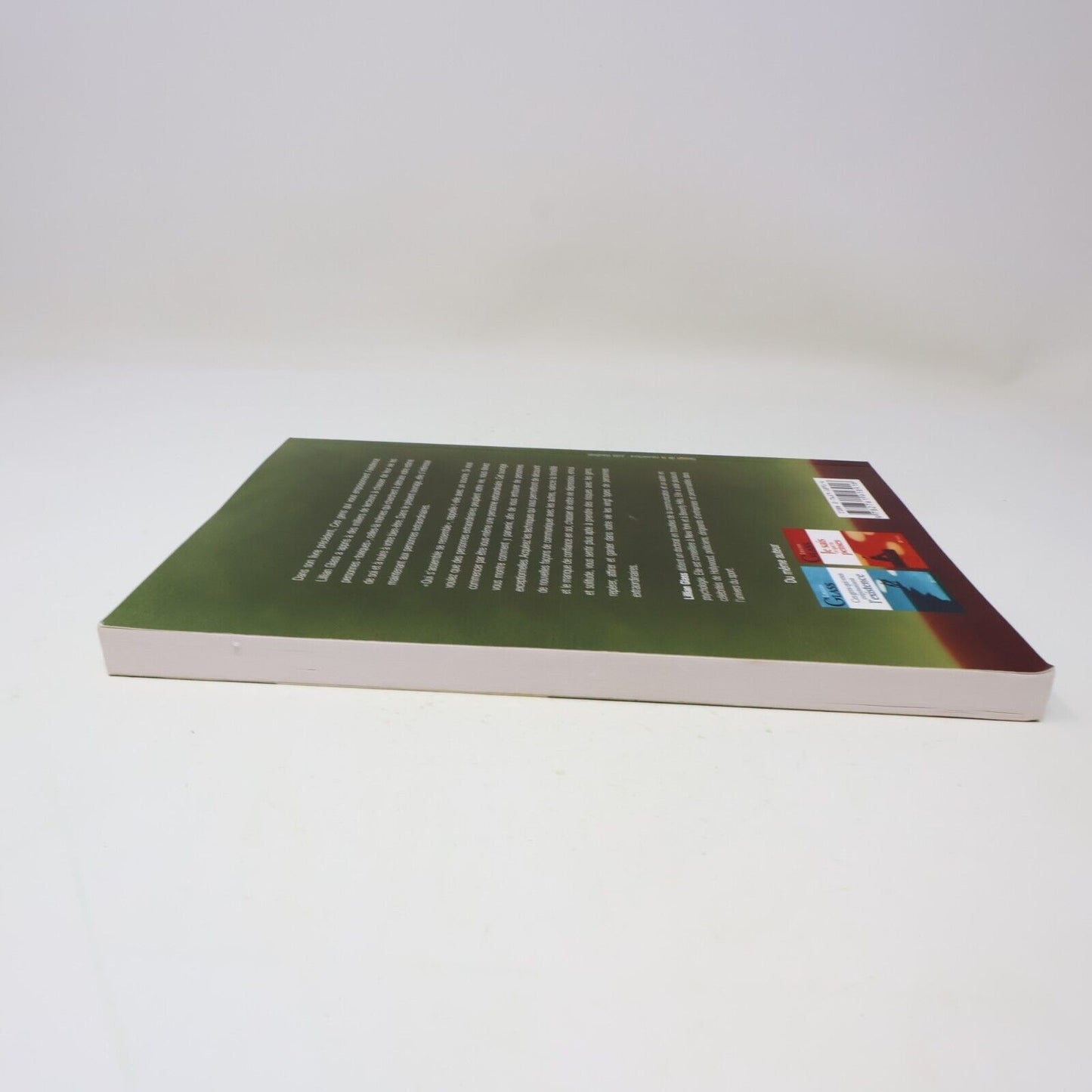 2004 Comment s'Entourer de Gens Extraordinaires de Lillian Glass Psychologie PB