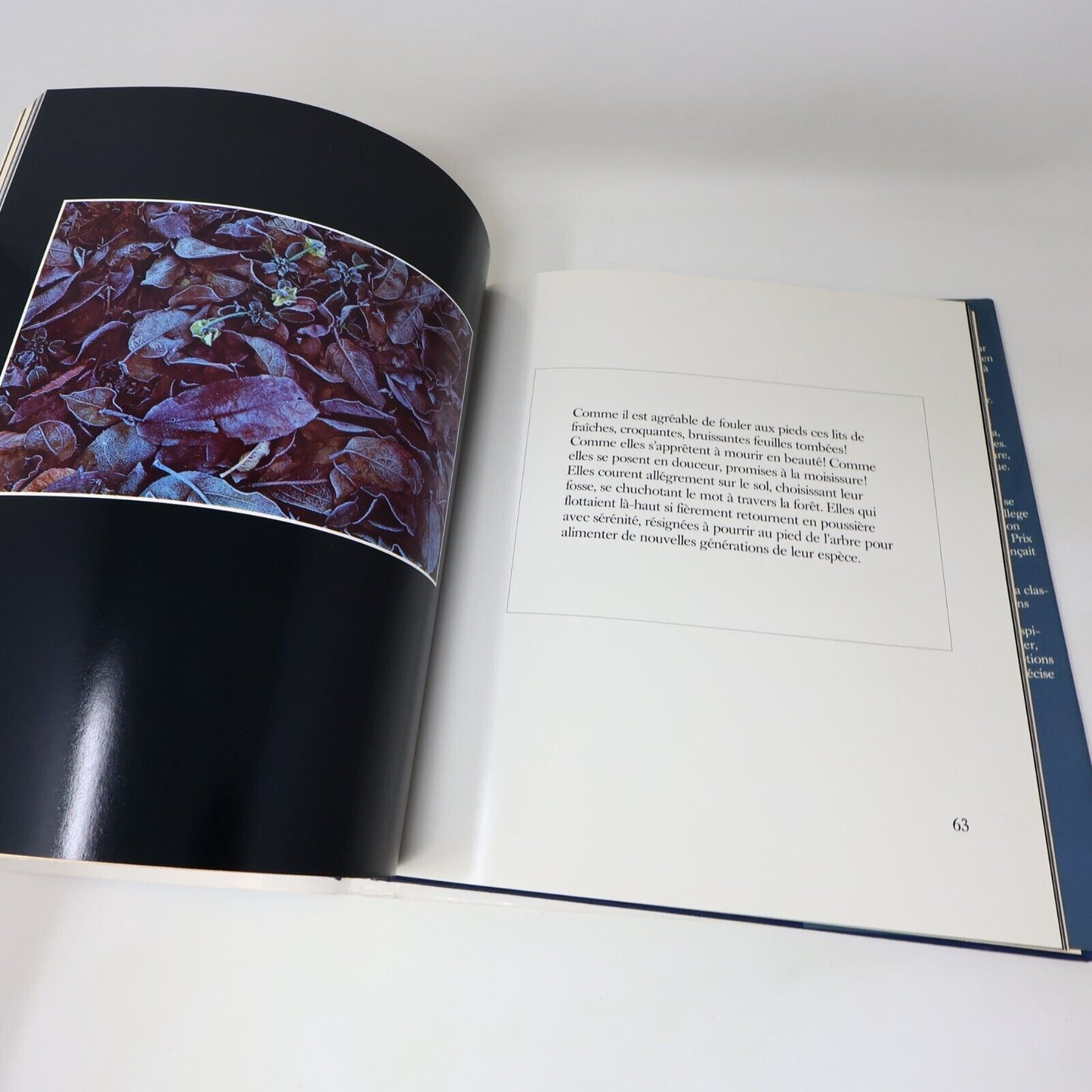 1979 Margaret Atwood/Catherine M. Young Ce Monde Inédit Art Photographies Fides