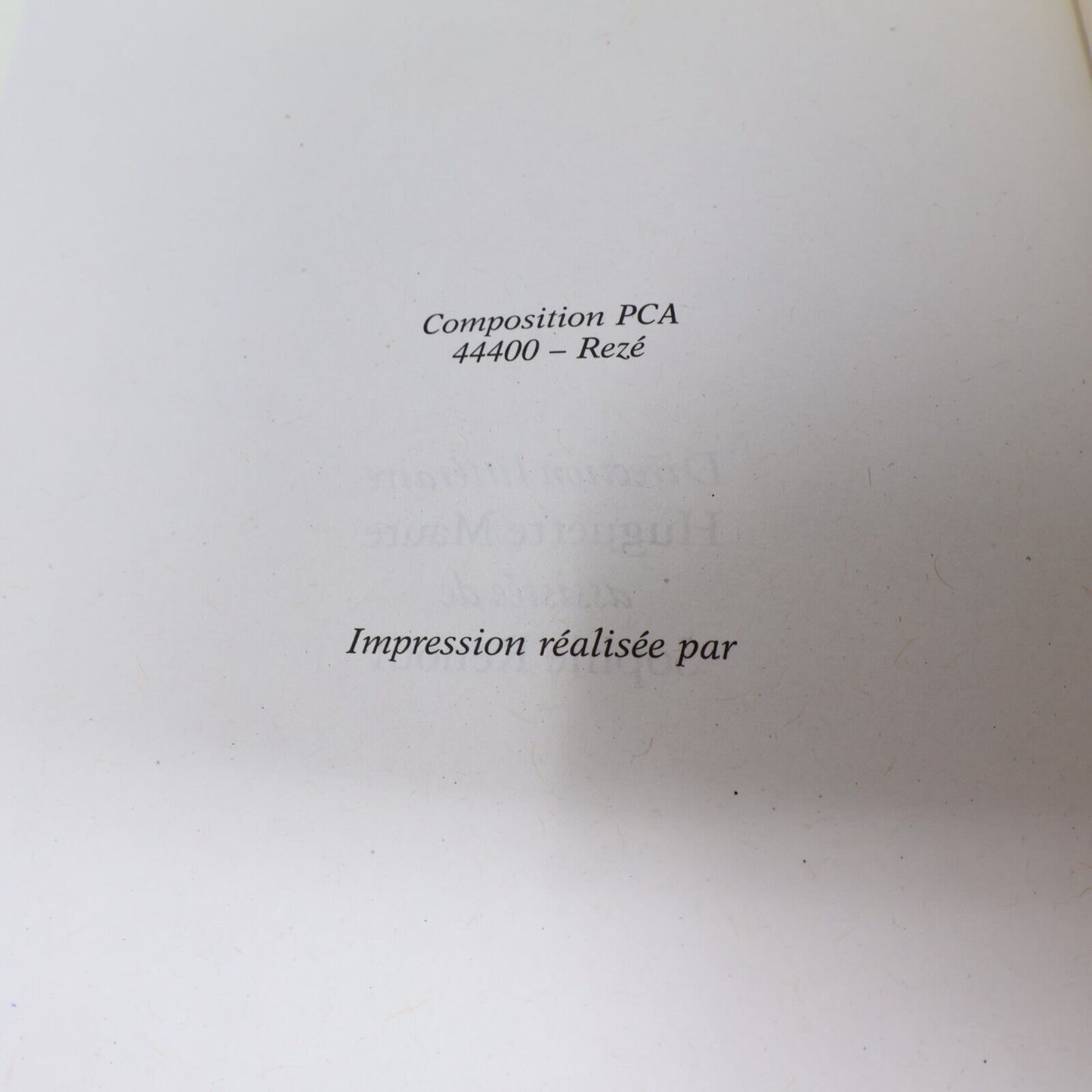 2009 Mots de Tête Diane Dufresne Biographie Musique Chanson Michel Lafon Livre