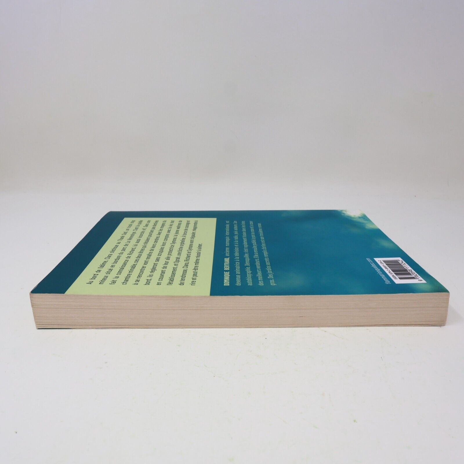 2023 Des Jardins Secrets Remplis d'Orties Roman Dominique Bertrand Flammarion PB