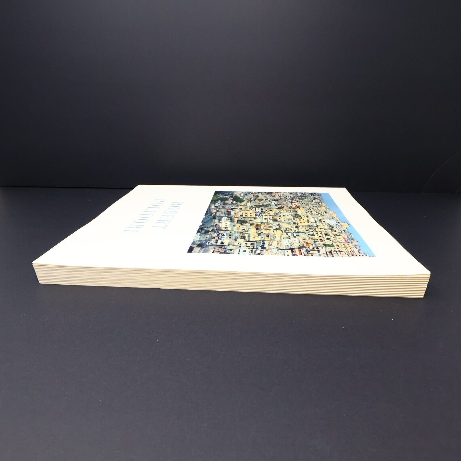 2009 Robert Polidori Musée d'Art Contemporain de Montréal Exhibition Guide PB