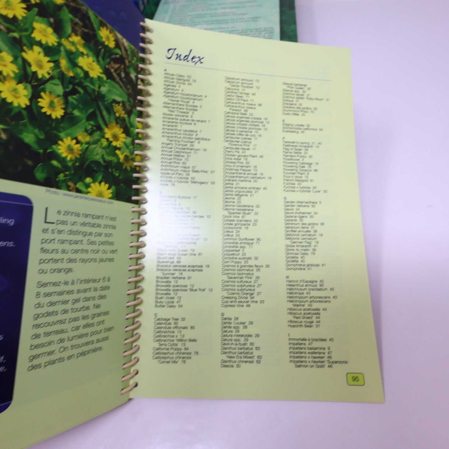 Le Jardinier Paresseux Lot 5 Livres Larry Hodgson Arbustes/Annuelles/Vivaces
