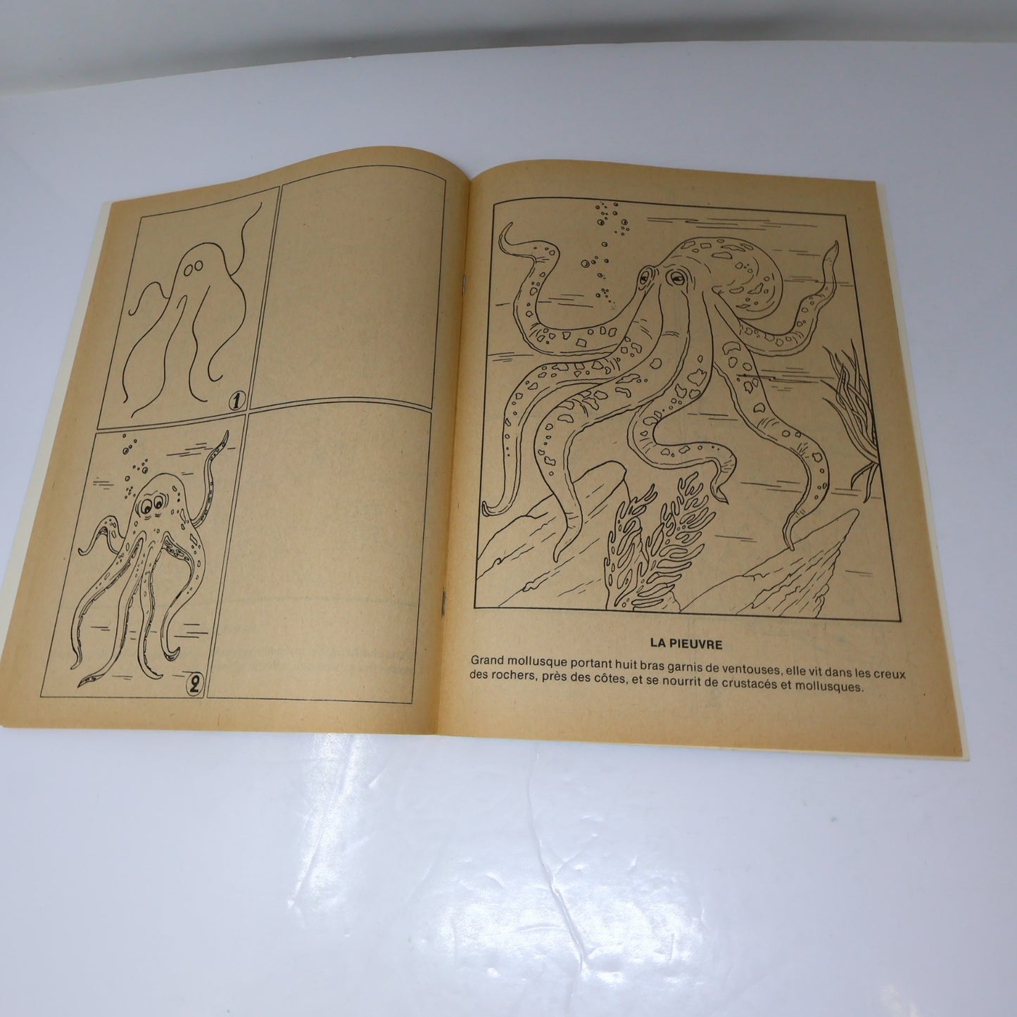 J'Apprends à Dessiner Lot 7 Livres à Colorier Québec Agenda Poissons/Espace 1984