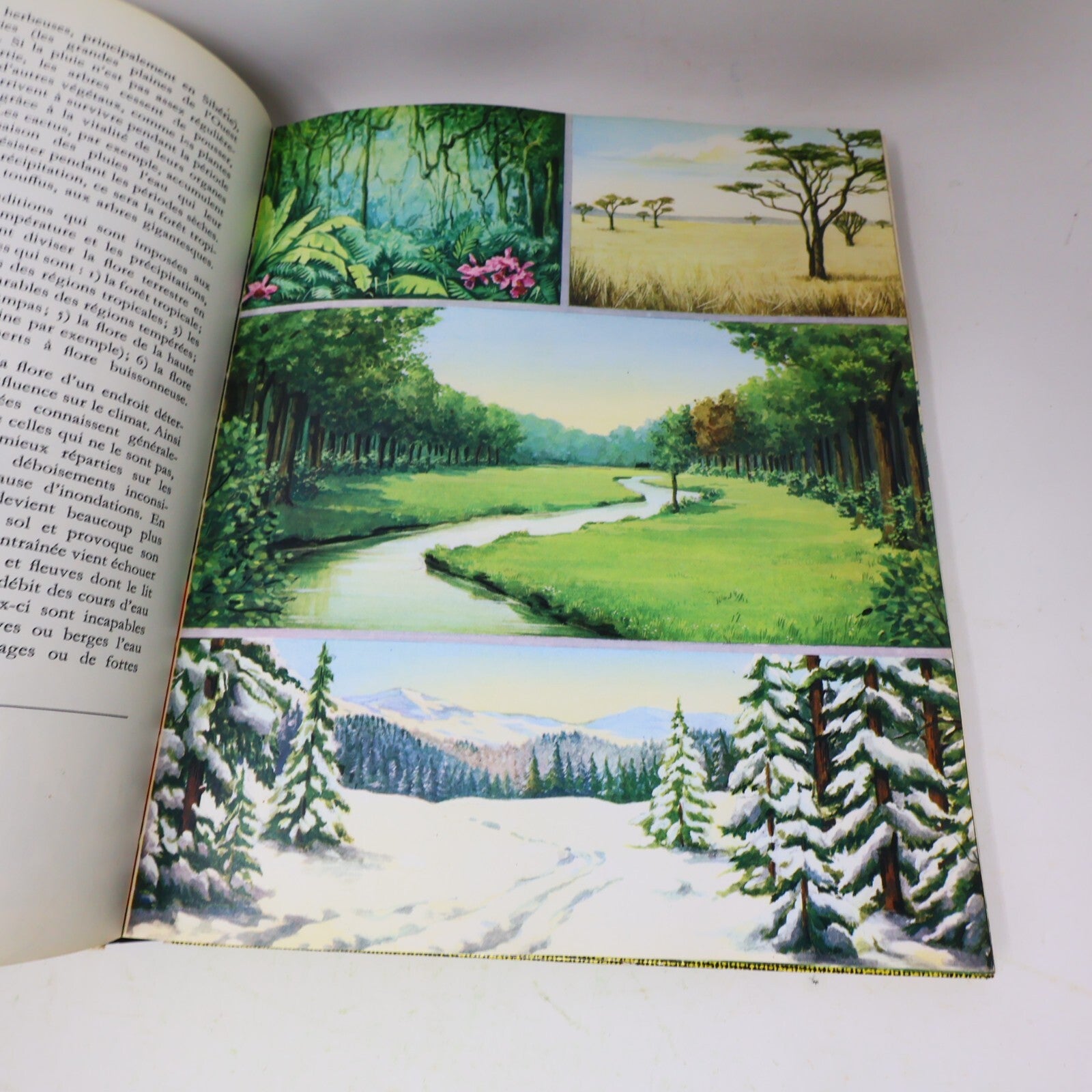 1969 L'Aventure de la Terre Géographie Histoire Sciences Globerama Casterman 60s