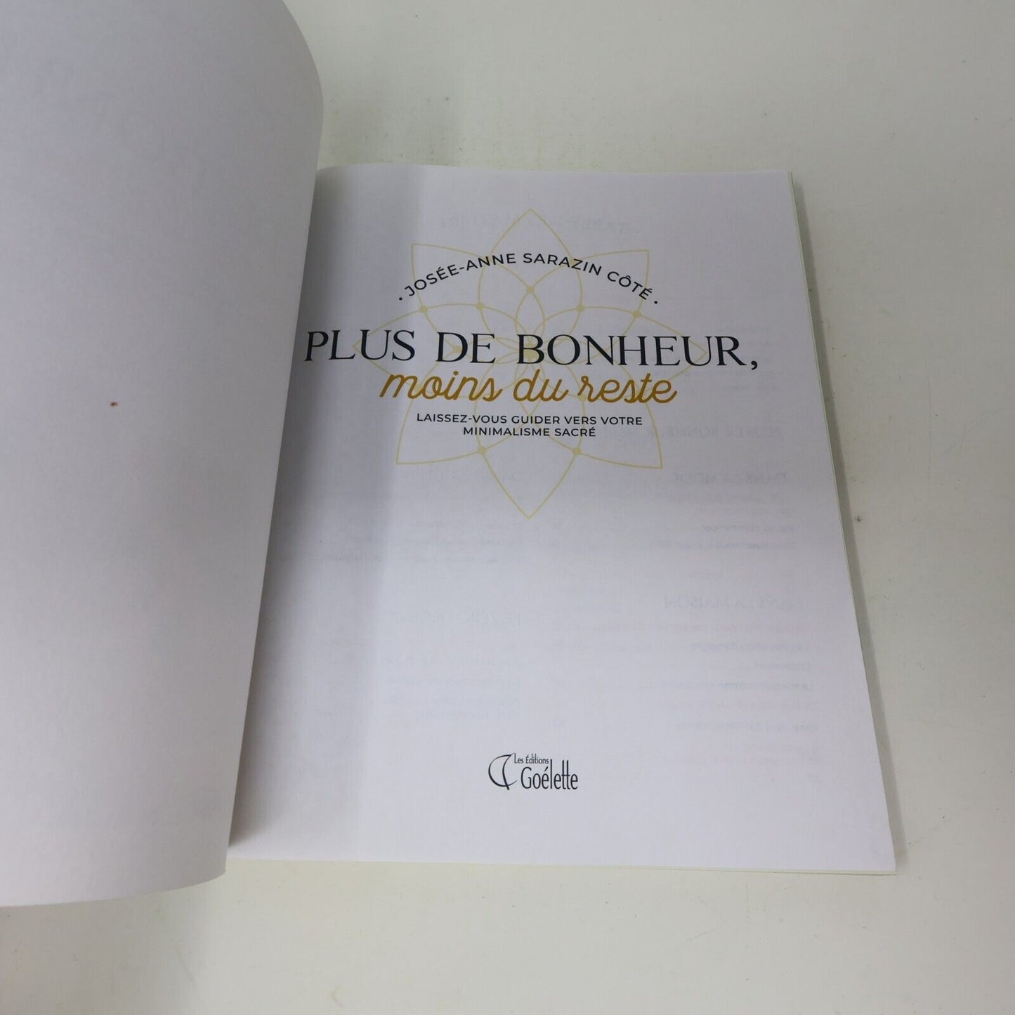 2019 Plus de Bonheur Moins du Reste Josée-Anne Sarazin-Côté Minimalisme Goélette