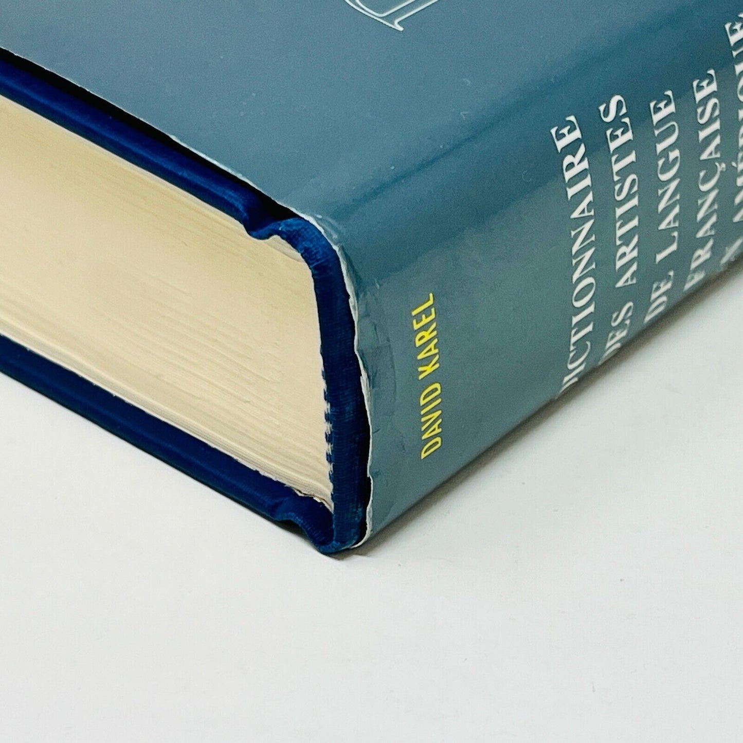 Dictionnaire des Artistes de Langue Française en Amérique du Nord de David Karel
