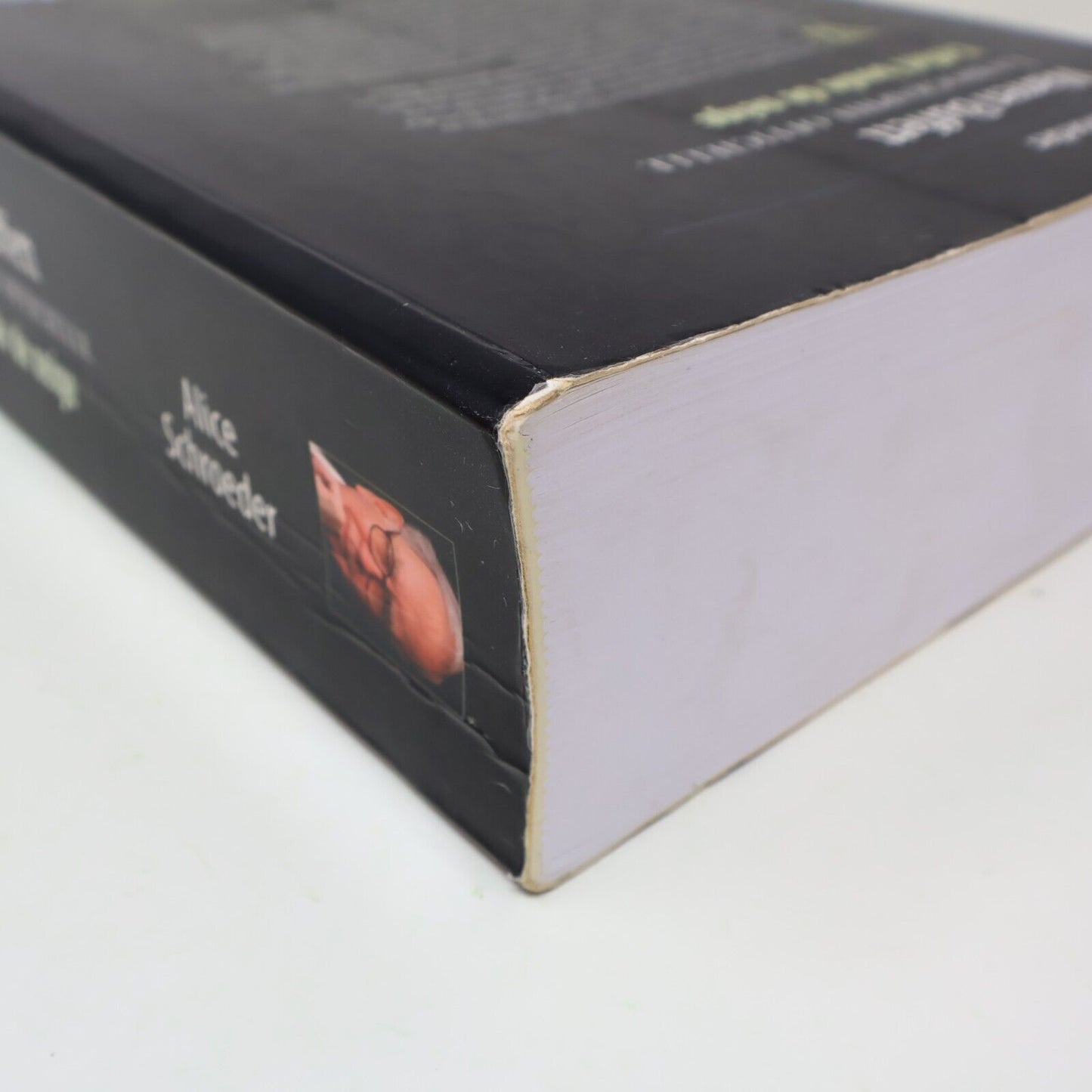 2010 Warren Buffett l'Effet Boule de Neige de Alice Schroeder Paperback PB Valor
