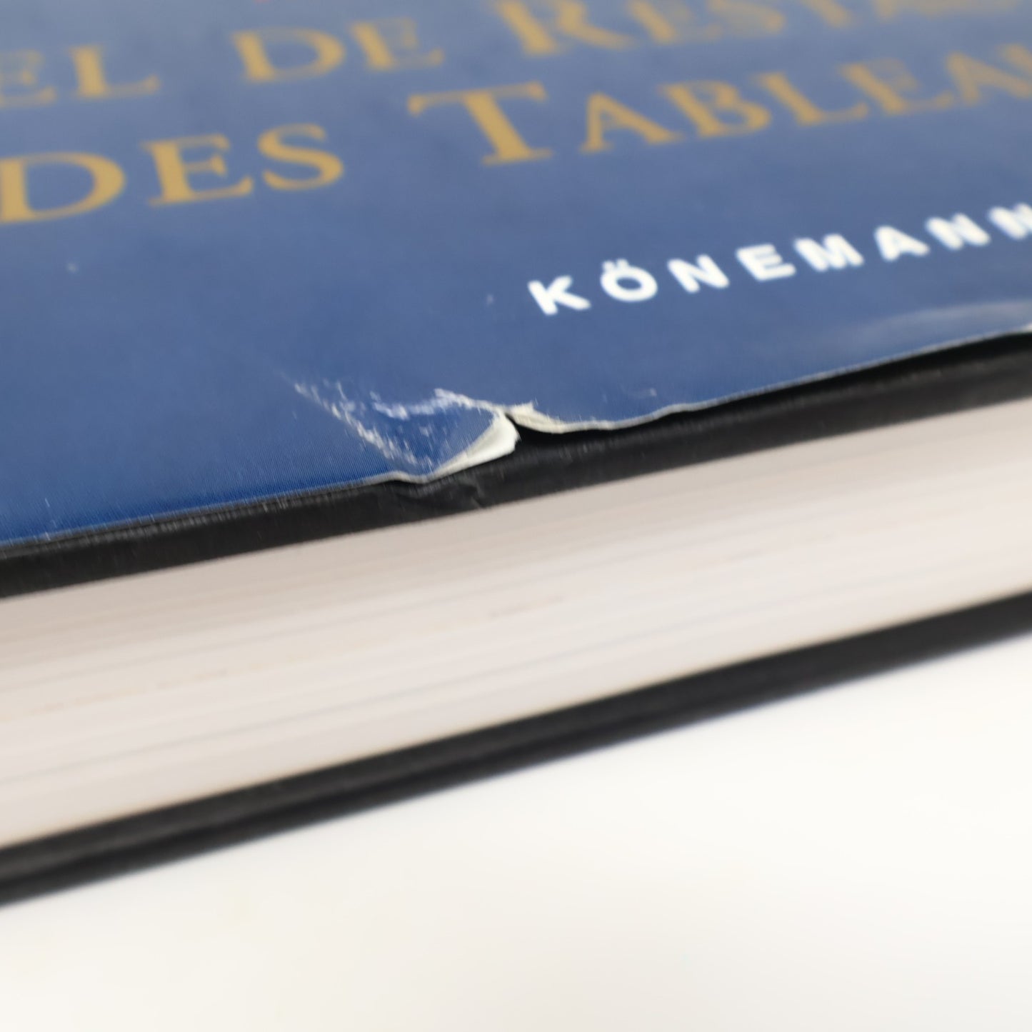 Manuel de Restauration des Tableaux Knut Nicolaus Konemann 1999 HC DJ Français