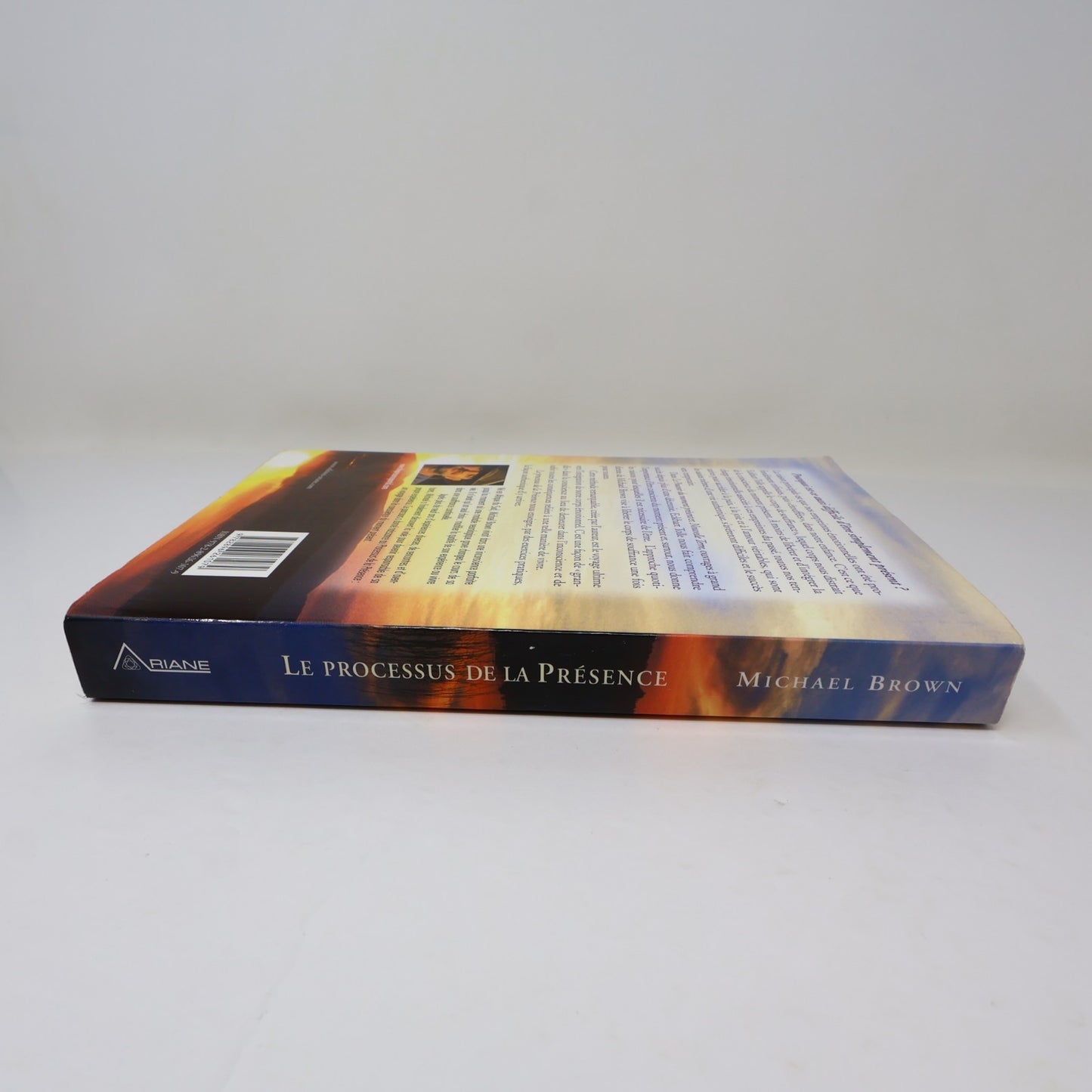 Le Processus de la Présence Michael Brown Ariane 2012 PB Français French Livre