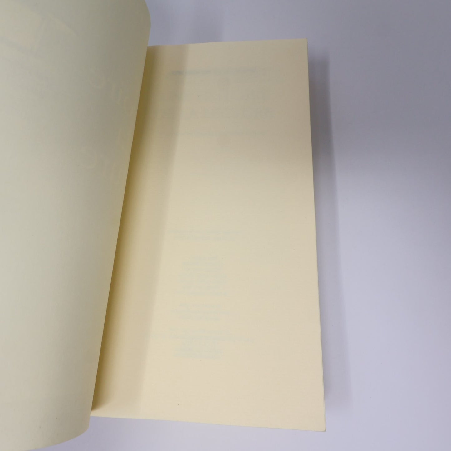 Alberto Manguel Lot 2 Livres Dans la Forêt du Miroir/Histoire de Lecture Essai