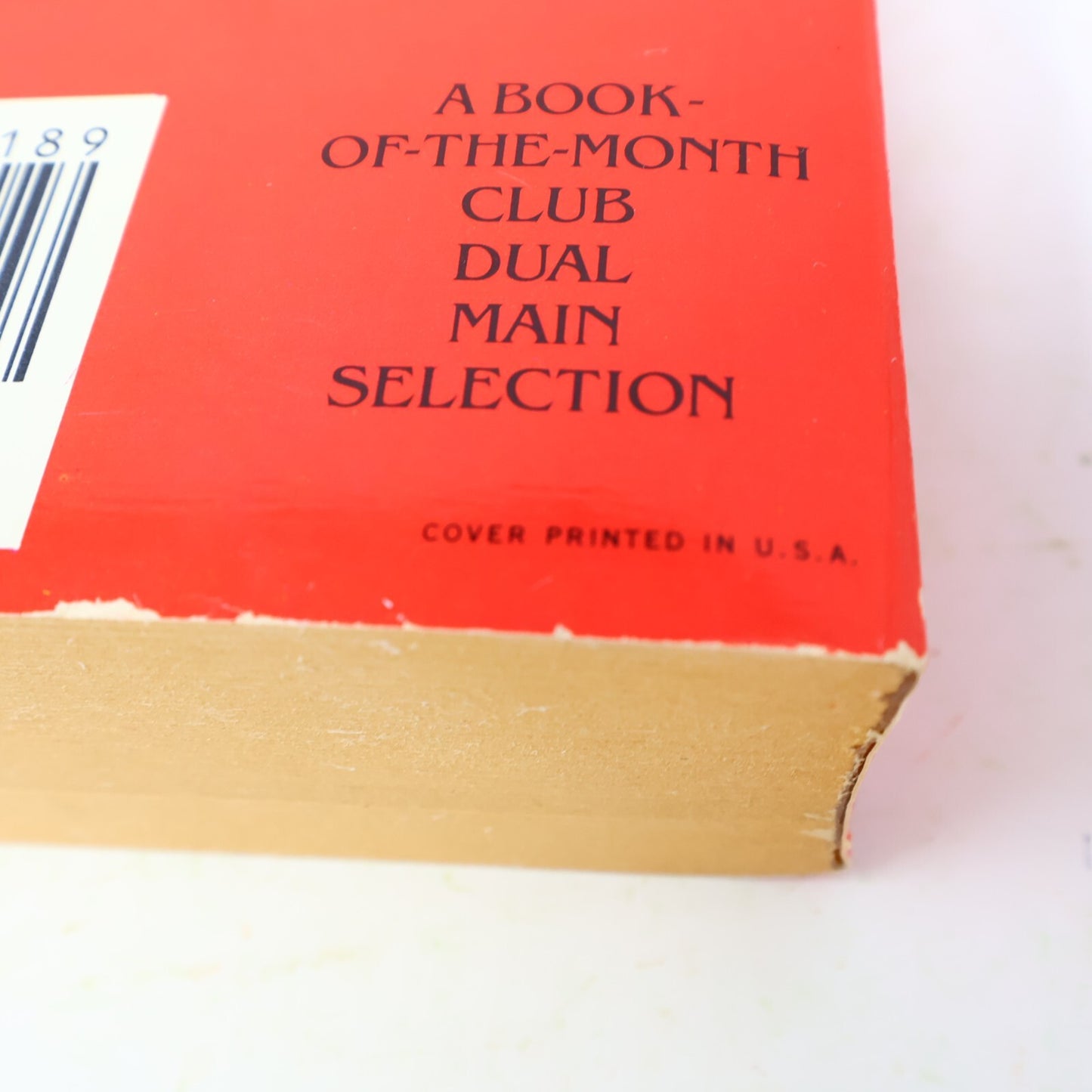 1982 Angel of Light Joyce Carol Oates Warner Historical Fiction Thriller Book PB