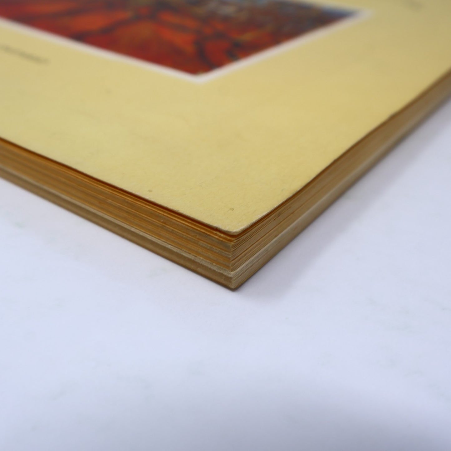 L'Art de Tom Thomson Art Gallery of Toronto 1972 Catalogue d'Exposition Français