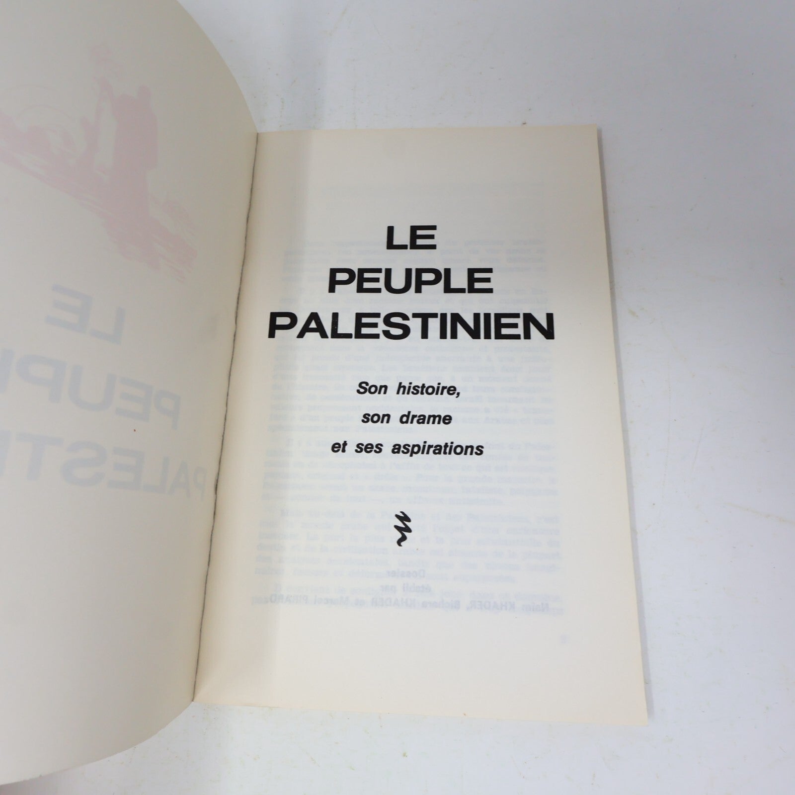 Apartheid et Sionisme/Le Peuple Palestinien Lot 2 Livres Khader/Bajoit/Pirard PB