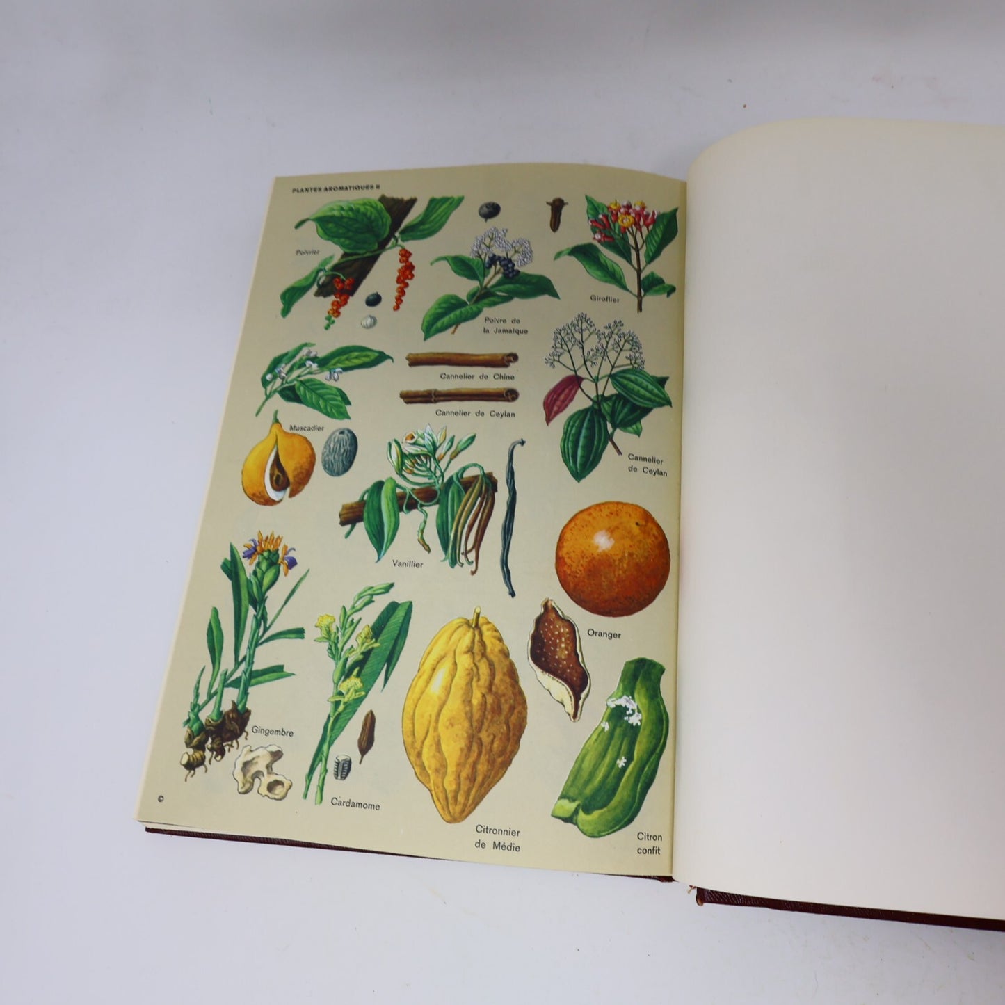 Encyclopédie Universelle Illustrée #1-21 Lot 21 Livres Complète Maisonneuve 70s