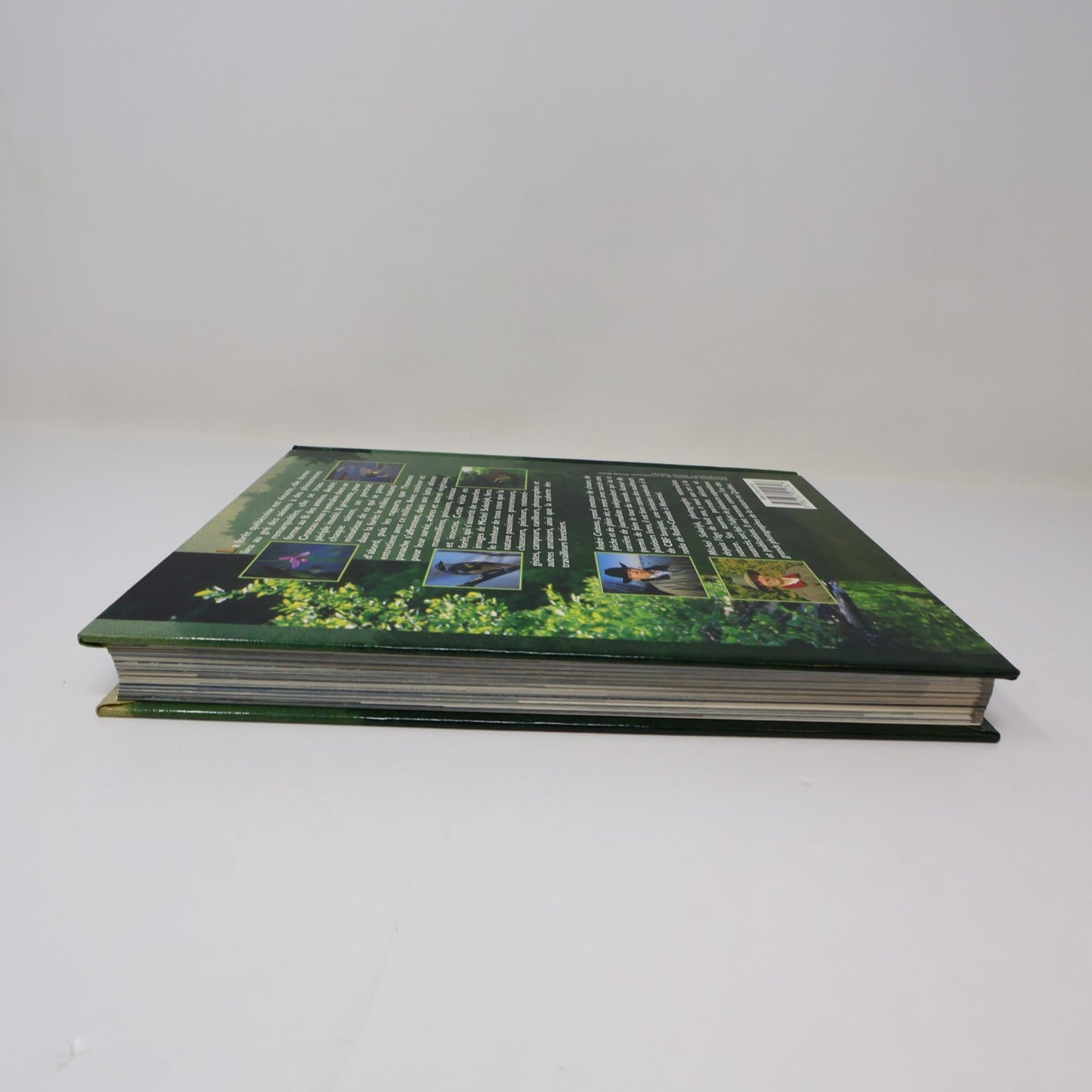 Guide de la Forêt Québécoise André Croteau De L'homme 1996 HC Arbres Nature 90s
