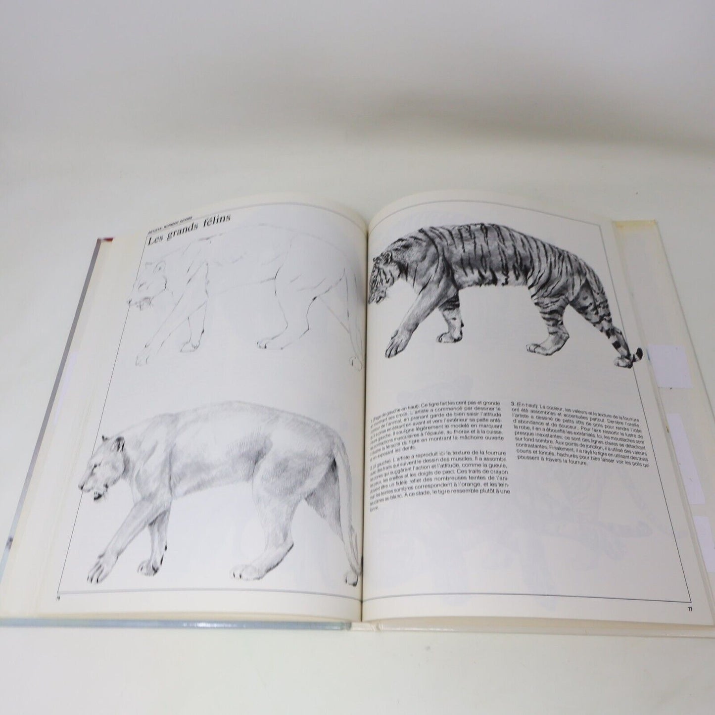 1987 Les Secrets du Dessin au Crayon de David Lewis Dessiner Broquet Français HC