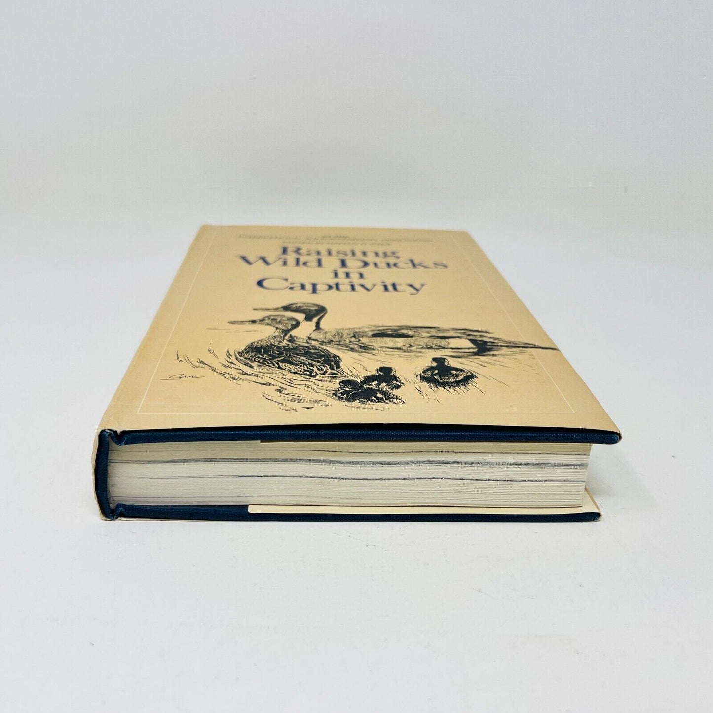 1974 Raising Wild Ducks in Captivity by Dayton O. Hyde Hardcover DJ Dutton IWWA